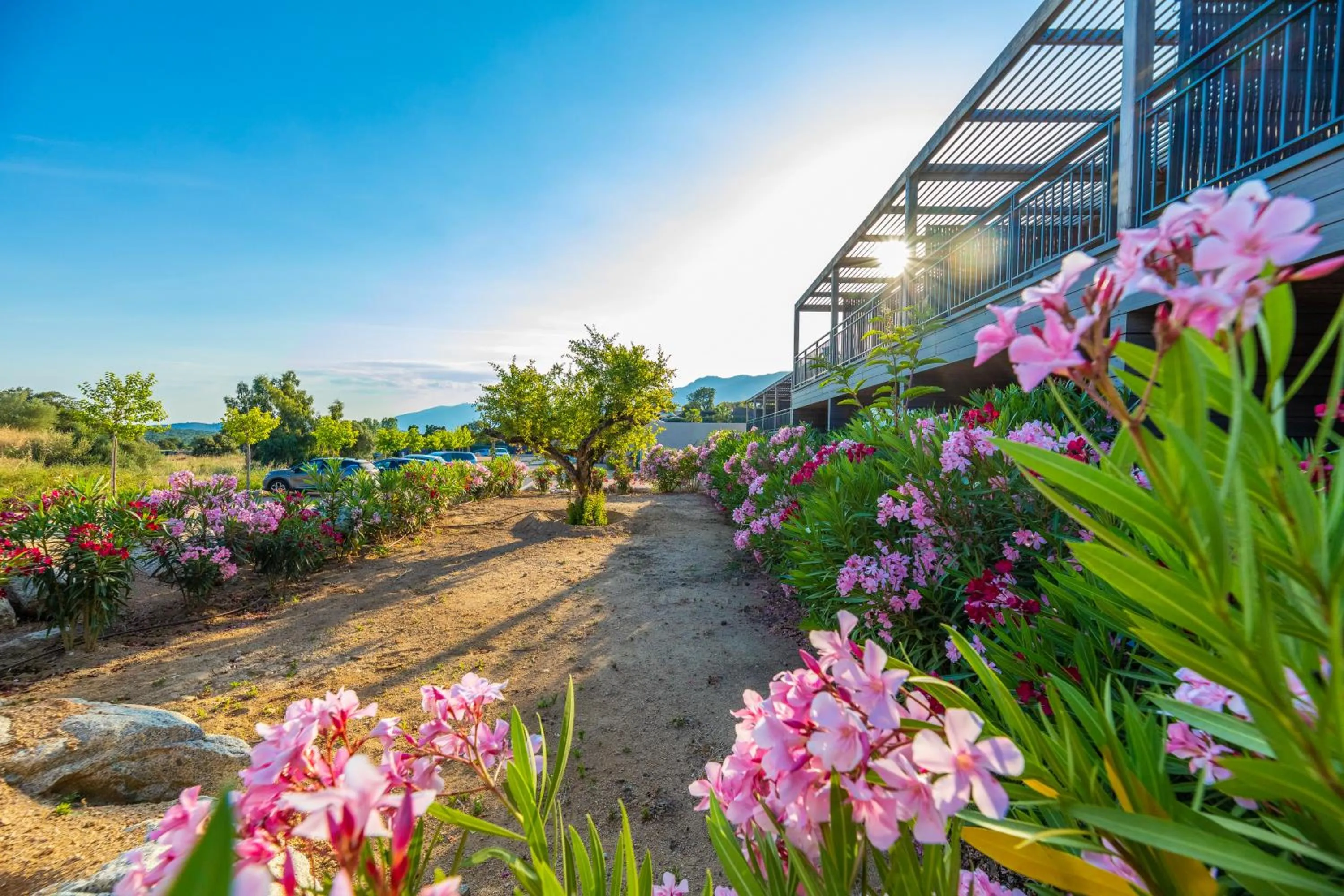 Day in Résidence Pierre & Vacances Premium Les Terrasses d'Arsella