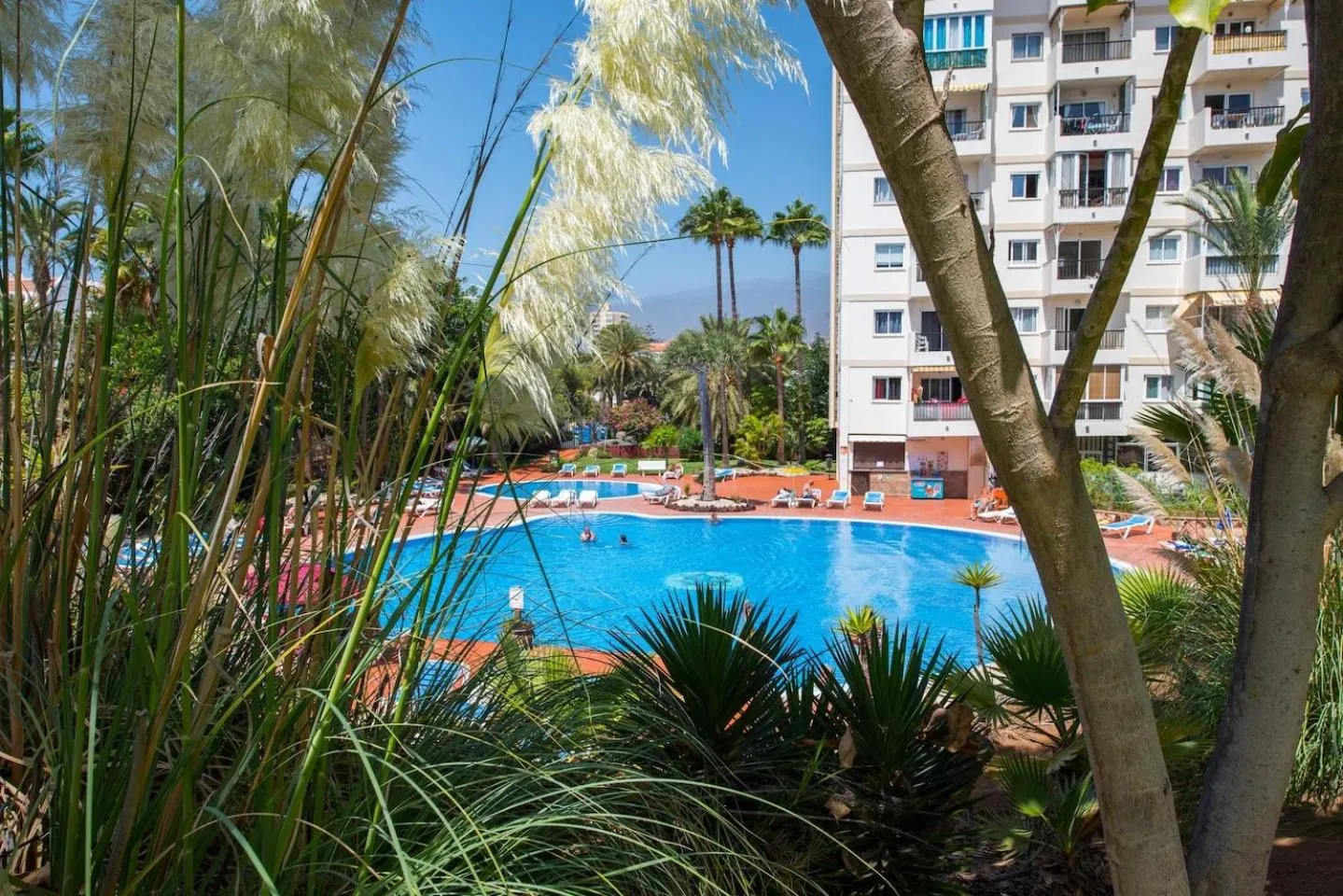 733 Wonderful Studio in LasAmericas! Wi-Fi free!