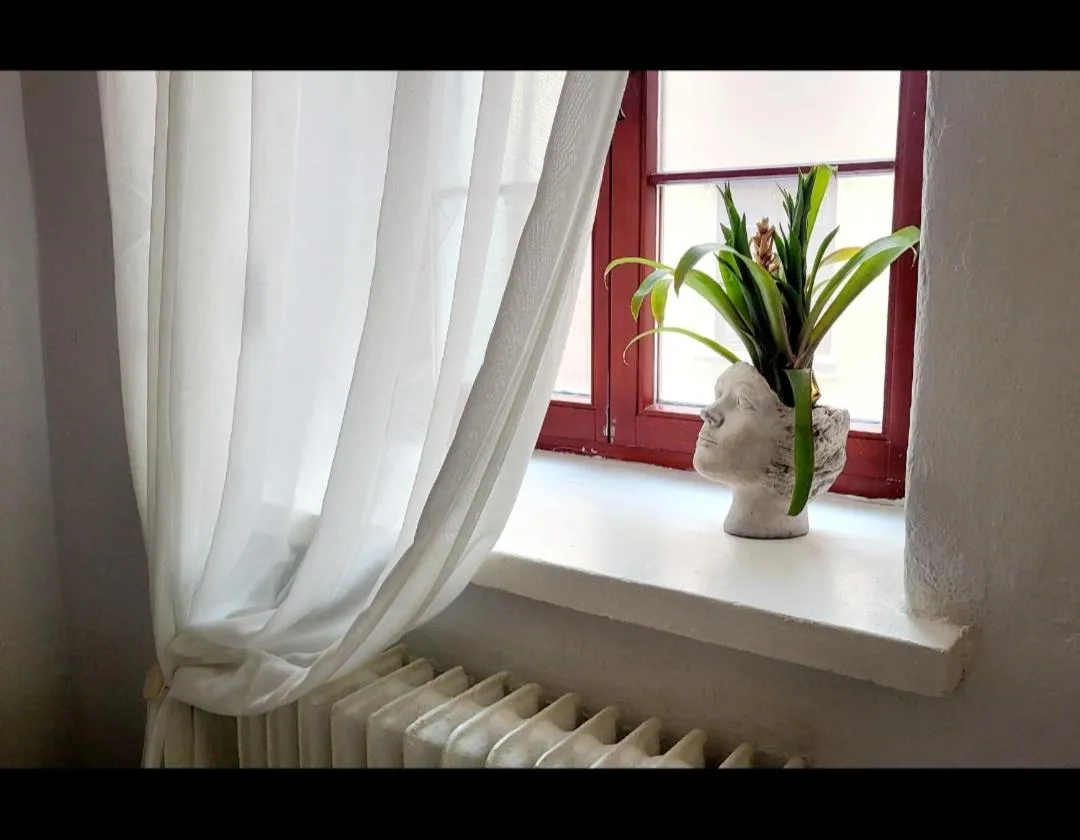 Classic Apartment in Sztukmistrz Magician Art Rooms