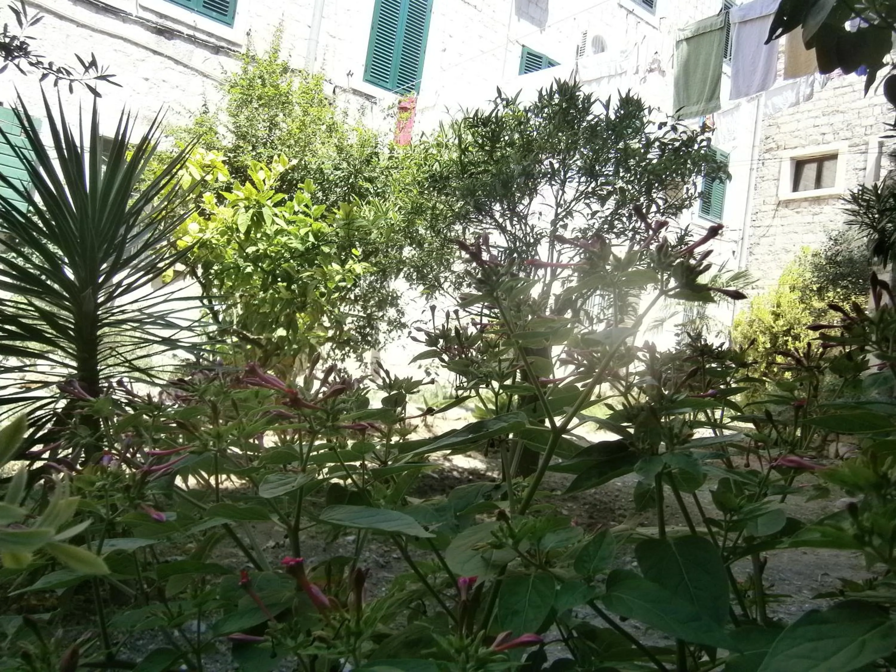 View (from property/room) in Rooms and Apartments Djanovic