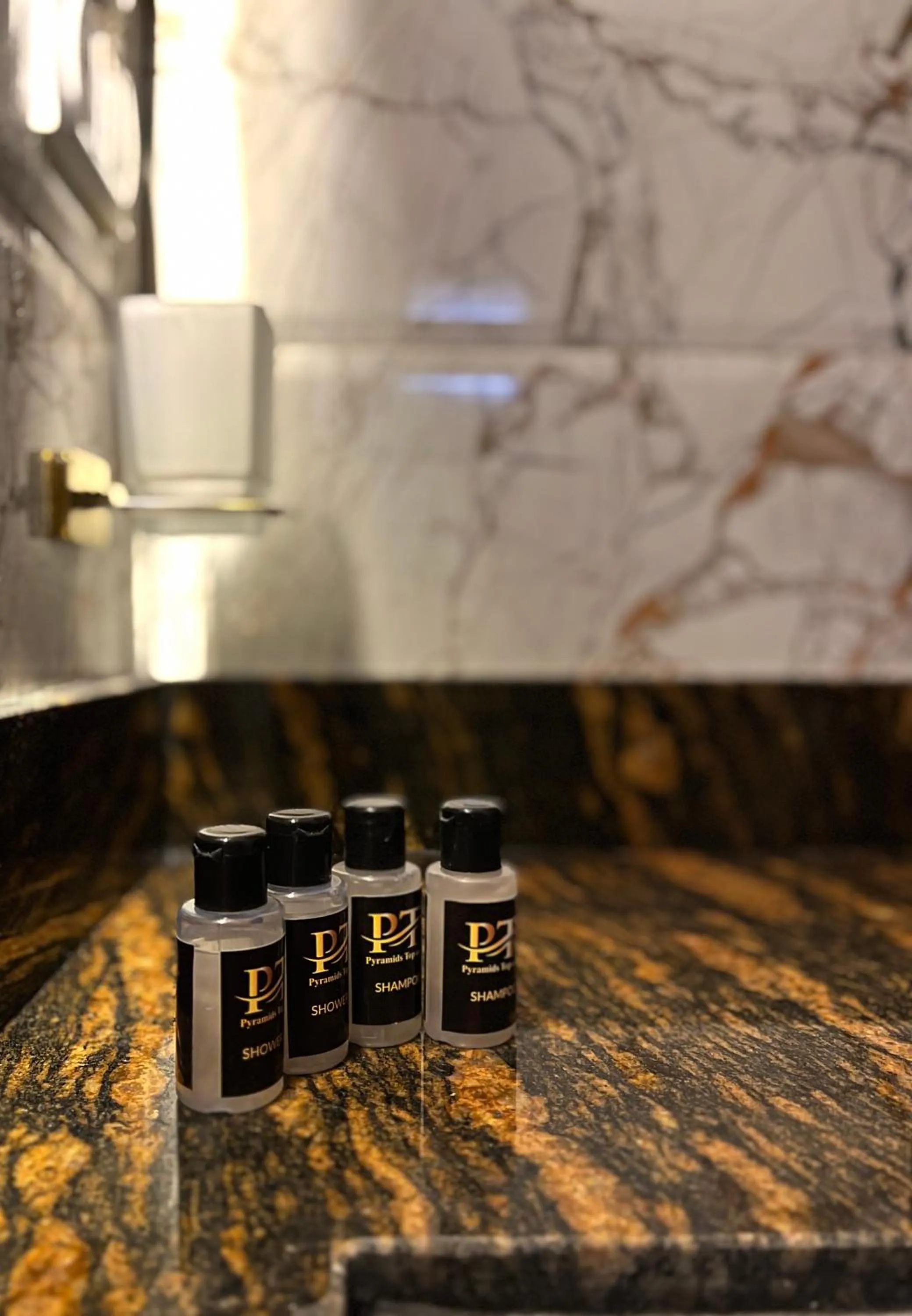 Bathroom in Pyramids Top Inn