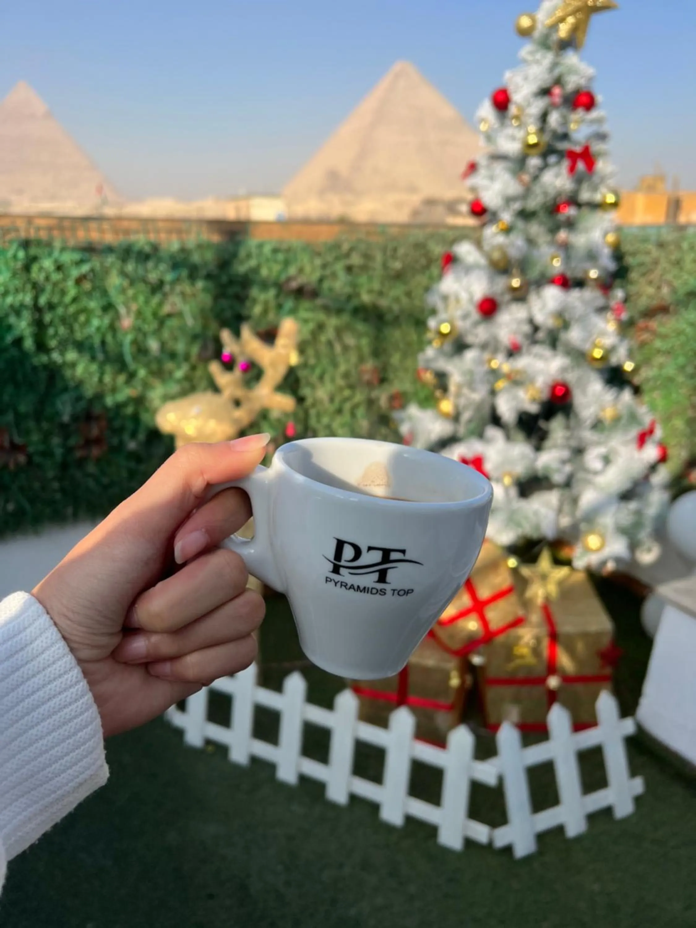 Day in Pyramids Top Inn