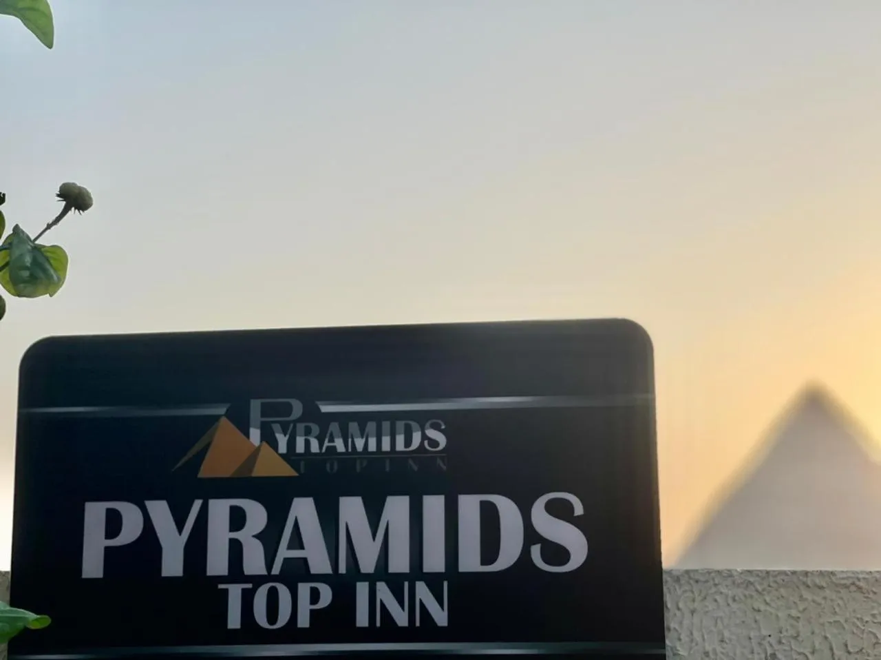 Logo/Certificate/Sign in Pyramids Top Inn