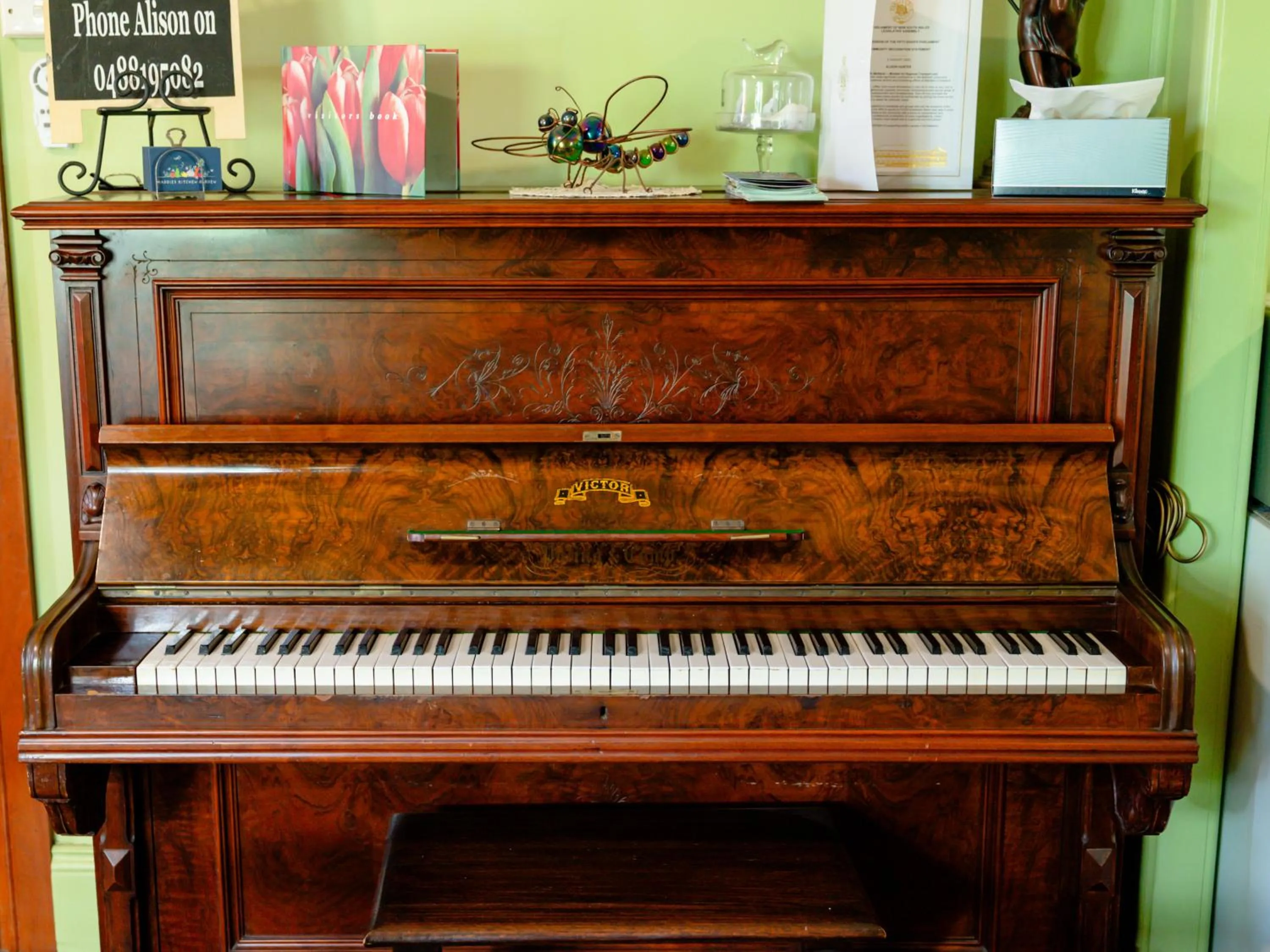 Entertainment in Maddies of Bolwarra