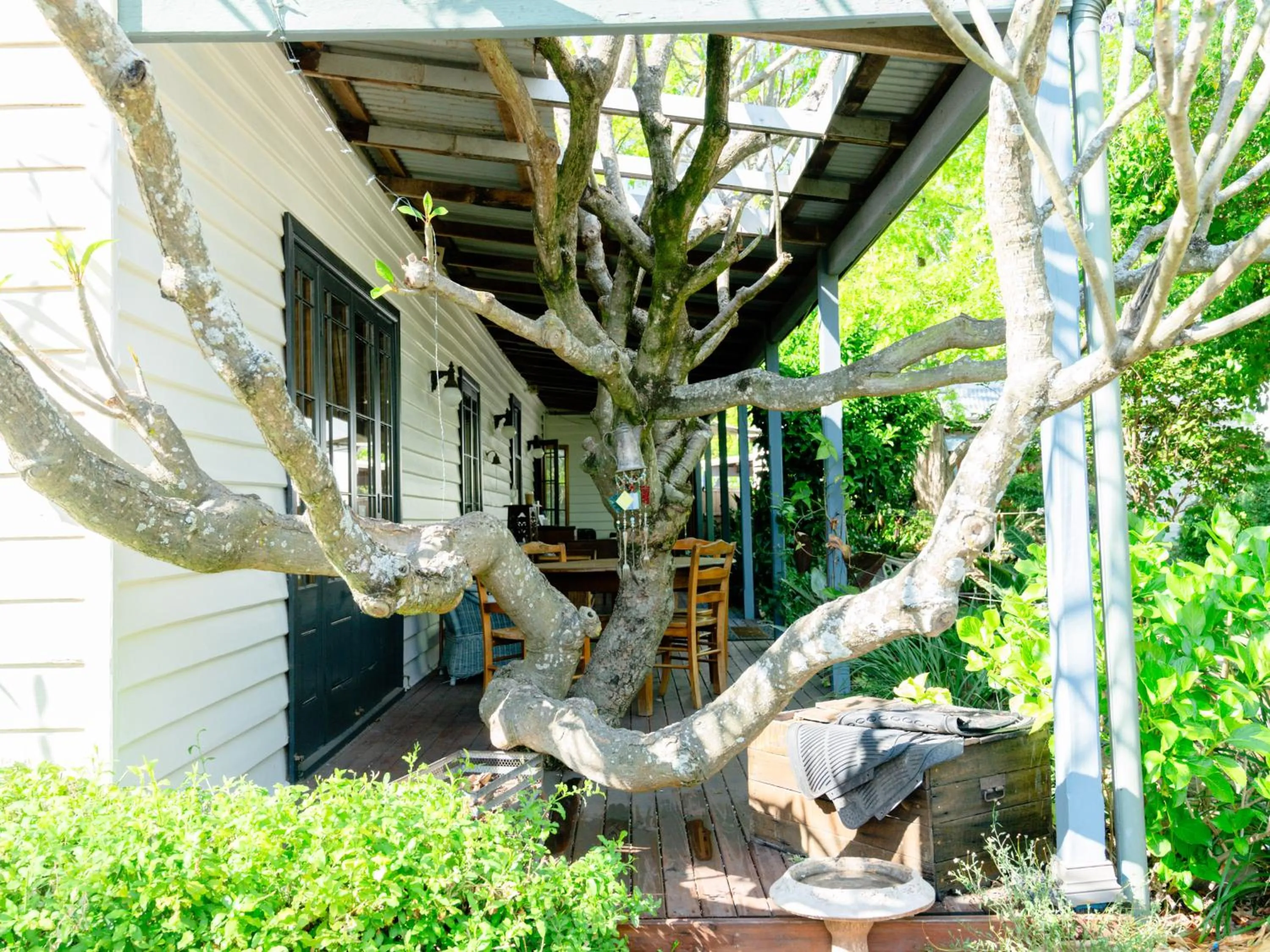 Property building in Maddies of Bolwarra