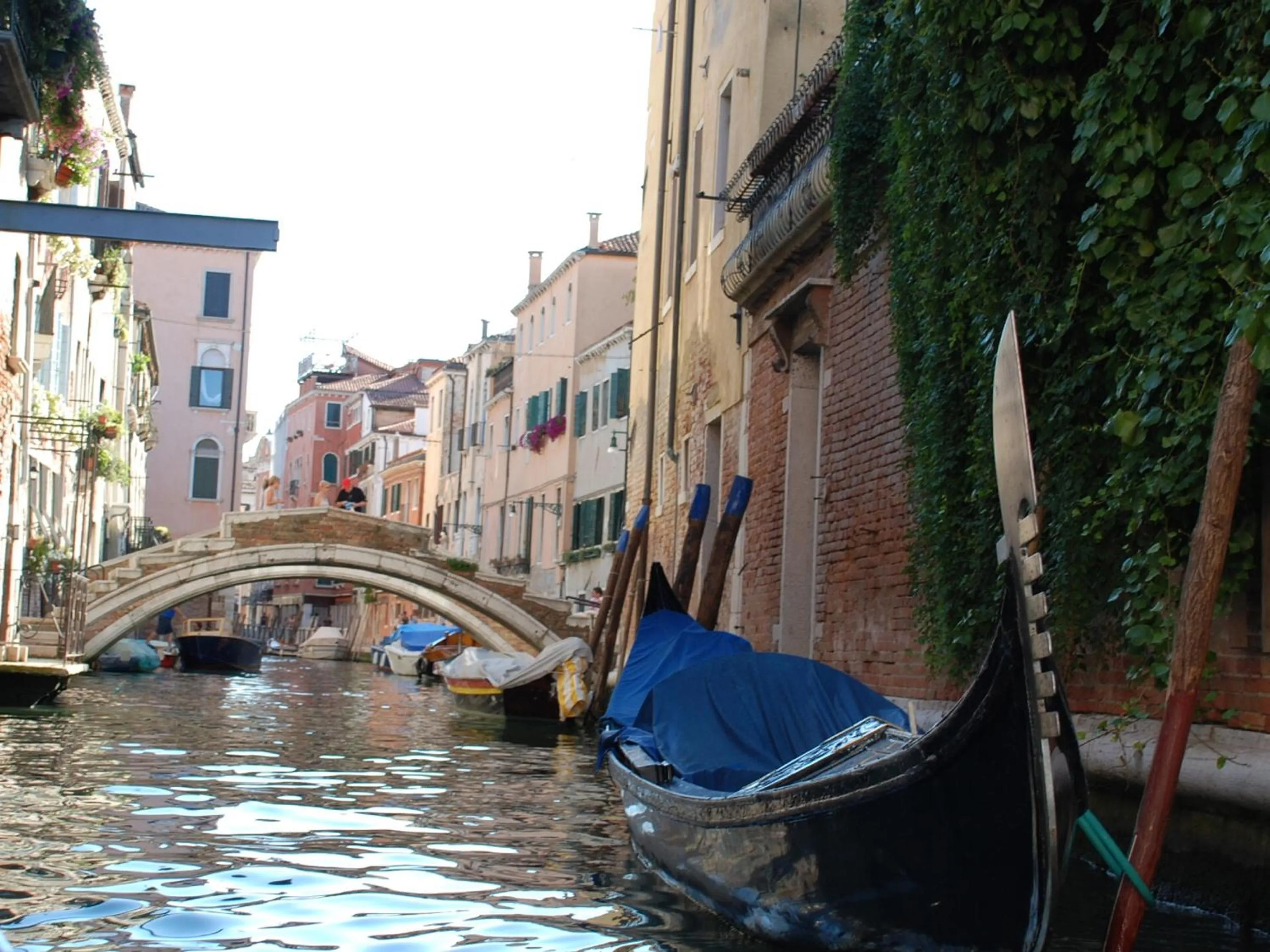 Area and facilities in Hotel At Leonard