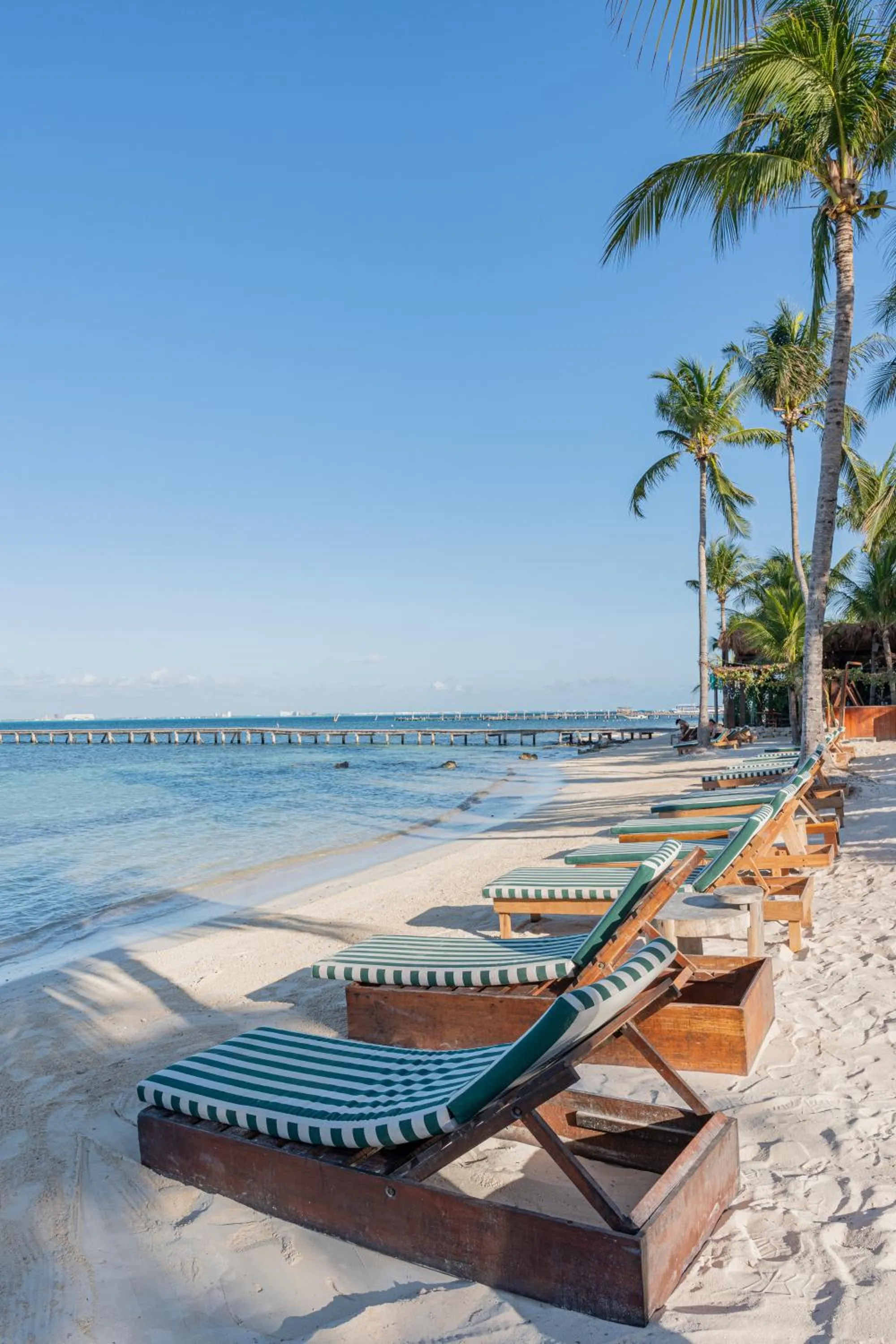 View (from property/room) in Mayan Monkey Isla Mujeres - Social Hotel