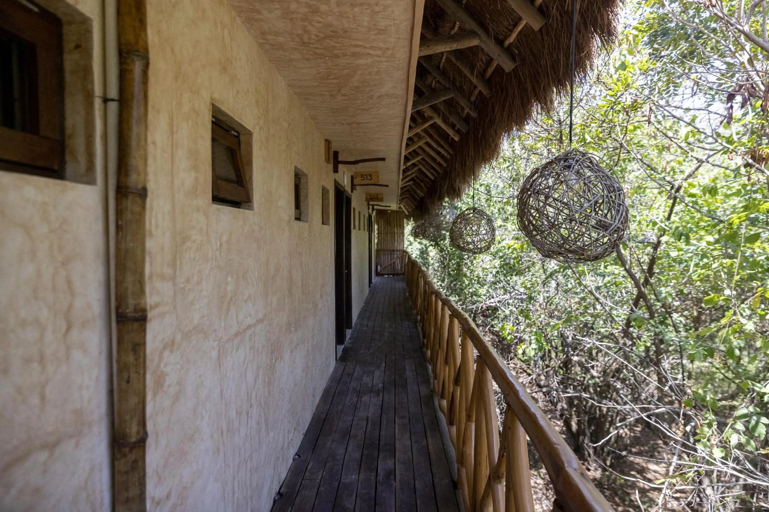 Garden view in Mayan Monkey Isla Mujeres - Social Hotel