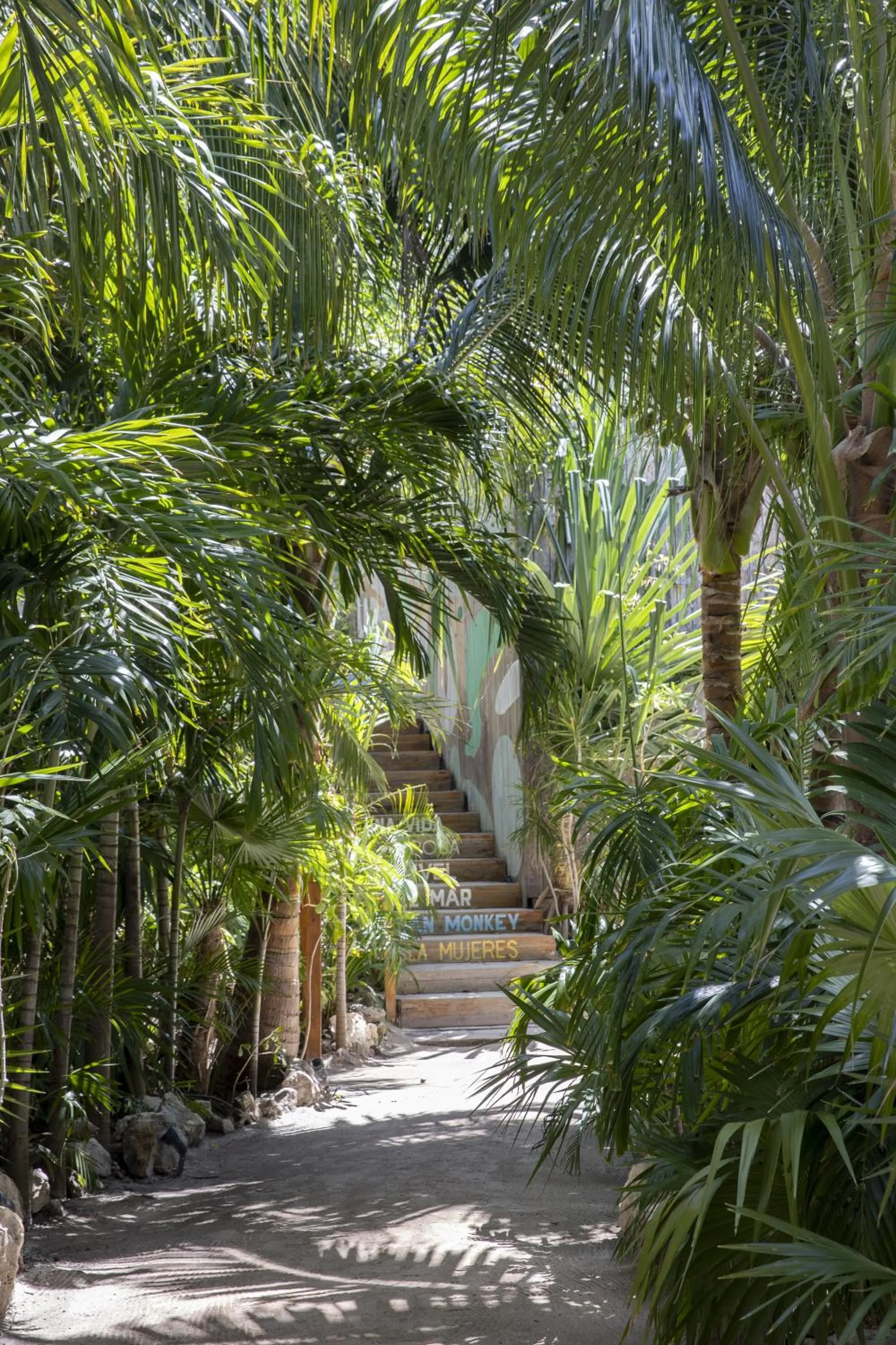 Off site in Mayan Monkey Isla Mujeres - Social Hotel