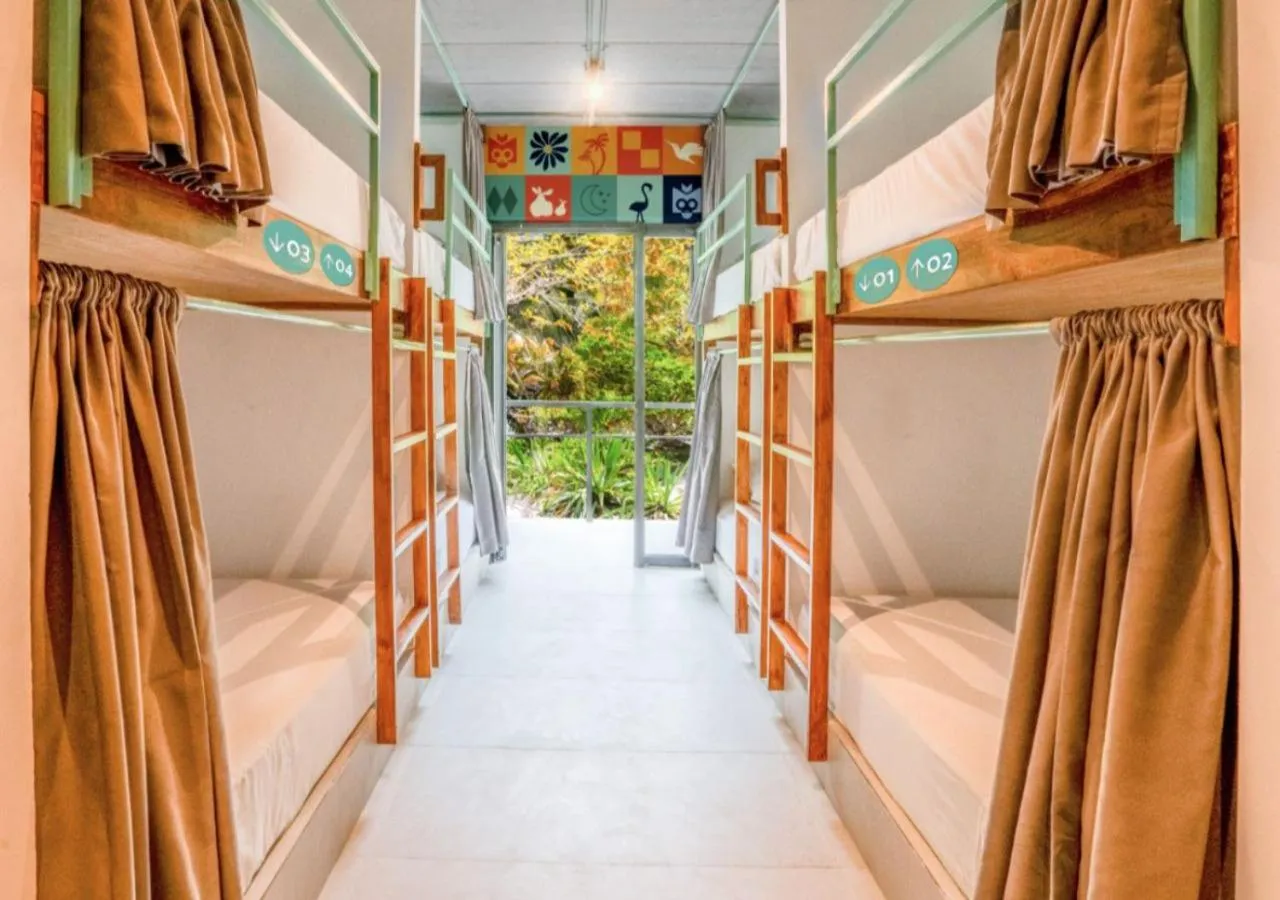 Photo of the whole room, Bed in Mayan Monkey Isla Mujeres - Social Hotel