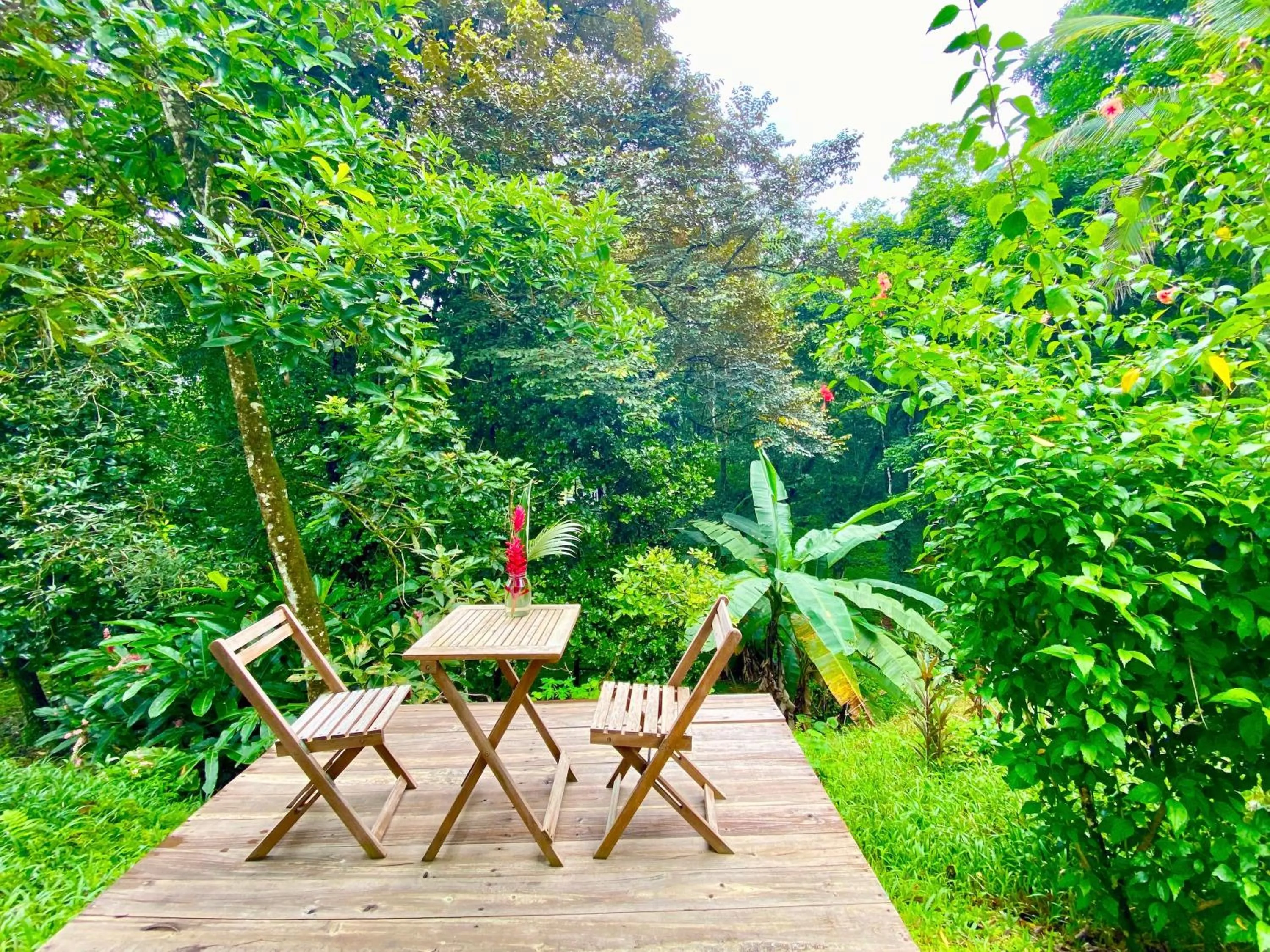 Natural landscape in Bird Island Bungalows
