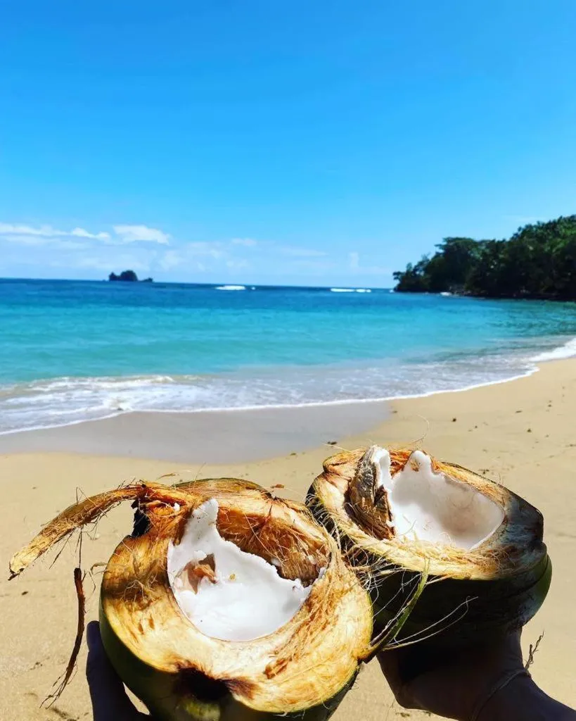 Beach in Bird Island Bungalows