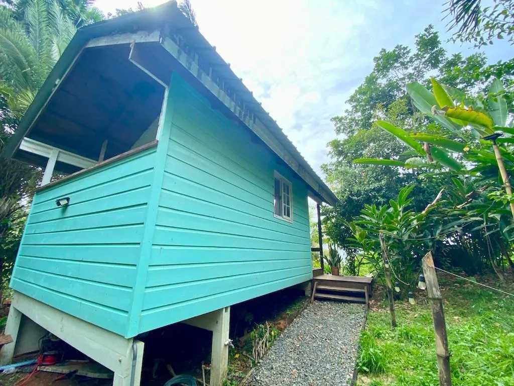 Property building in Bird Island Bungalows