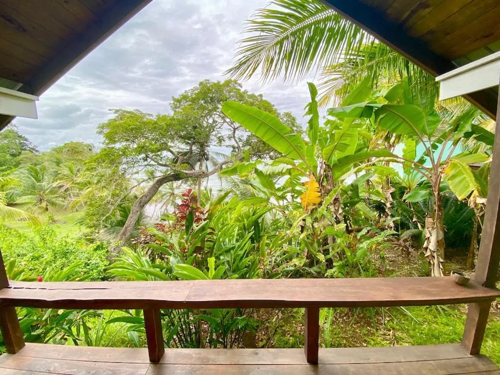 Natural landscape in Bird Island Bungalows