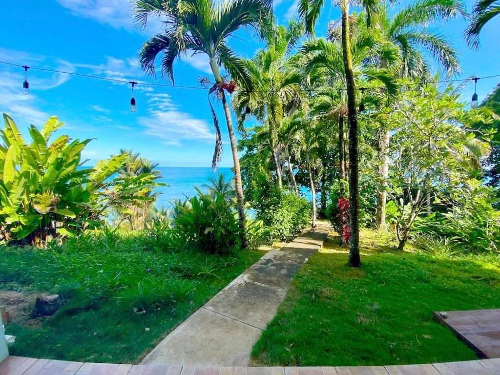 Natural landscape in Bird Island Bungalows