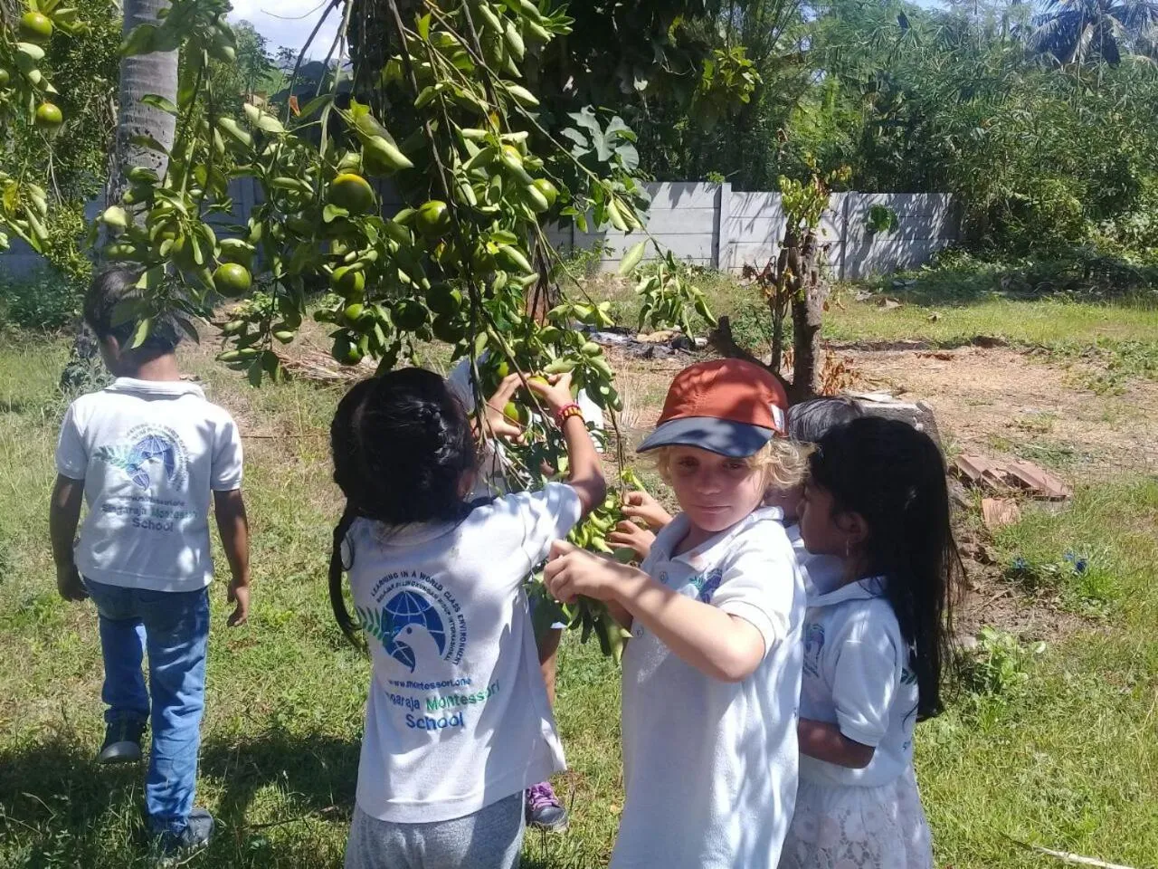 Garden in Buana Ecofarm Ecolodge