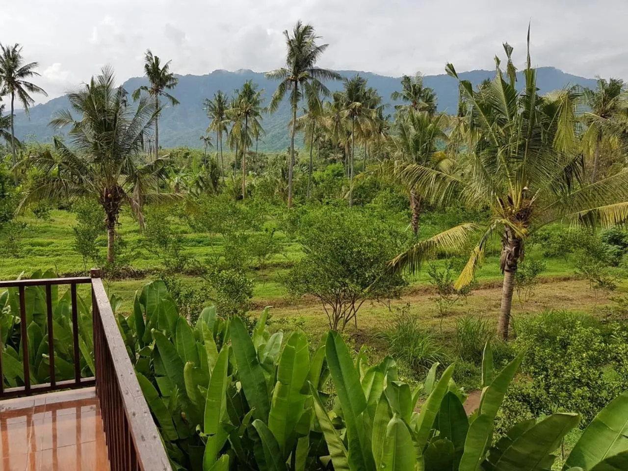 Buana Ecofarm Ecolodge