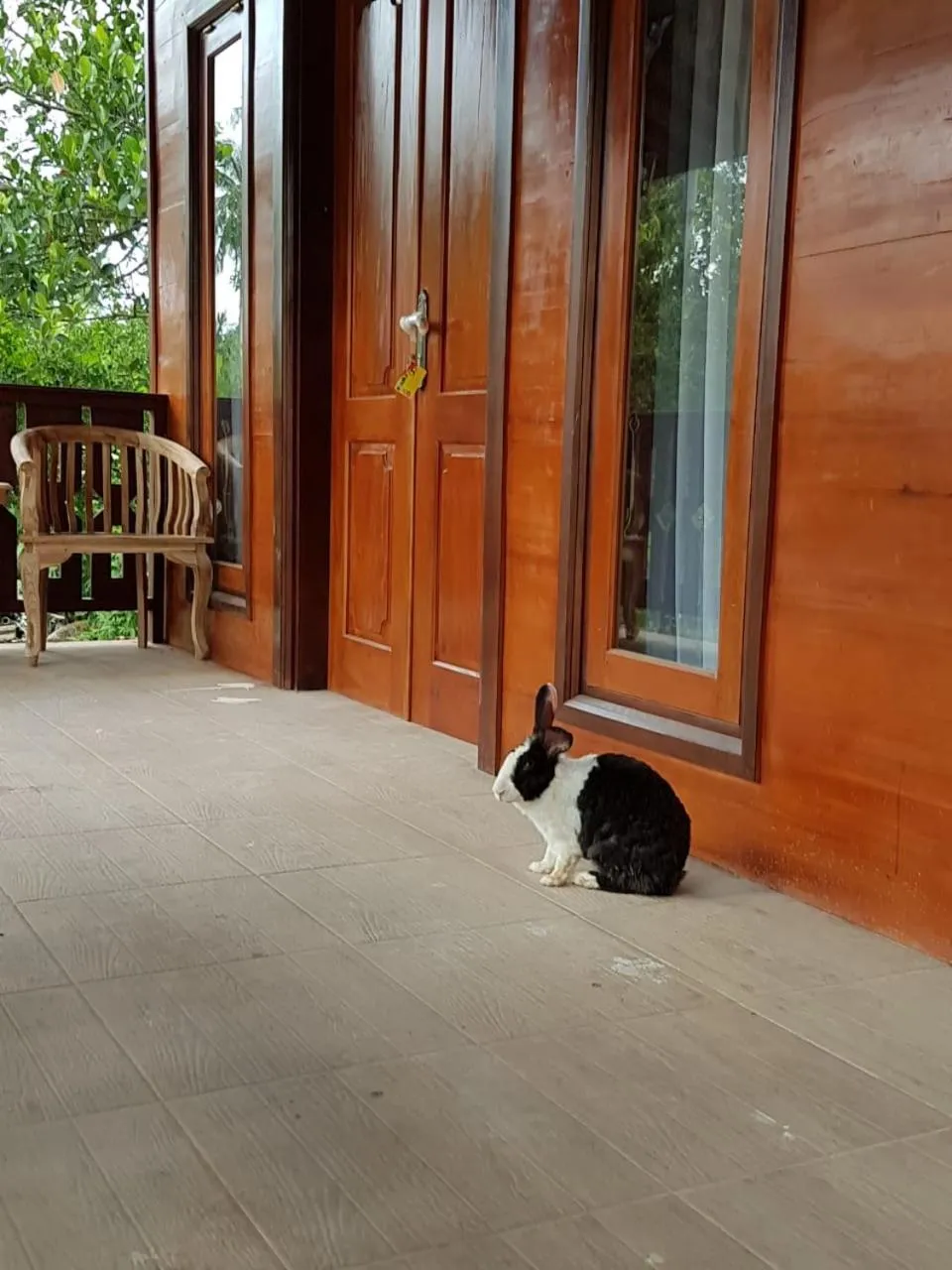 Balcony/Terrace in Buana Ecofarm Ecolodge