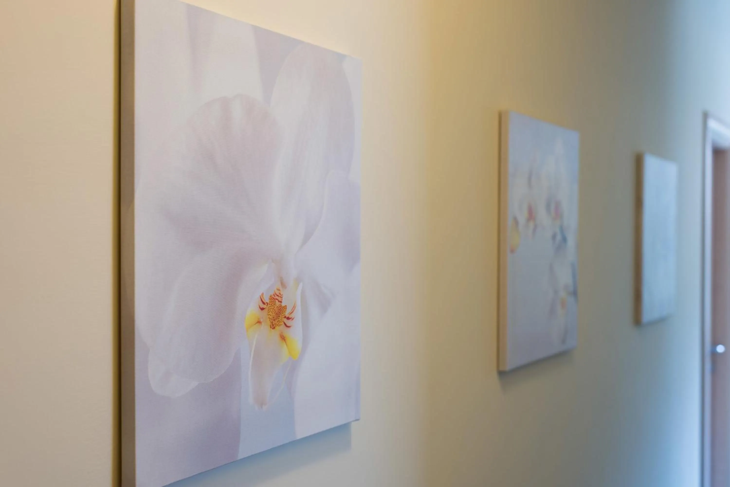 Lobby or reception in Hotel Erika