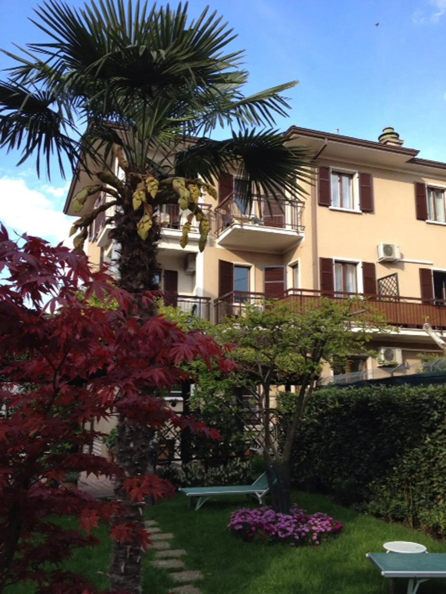 Facade/entrance in Hotel Erika