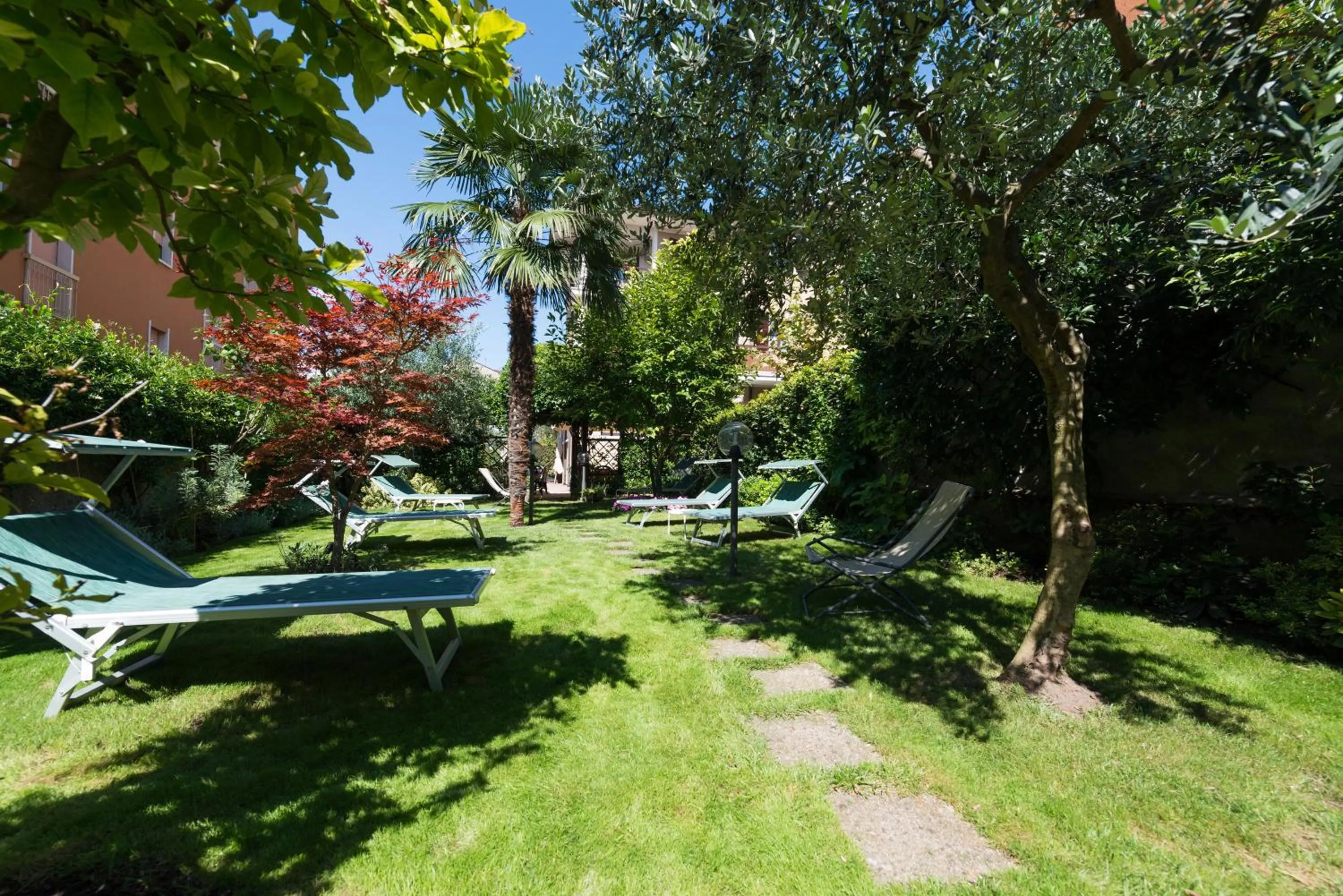 Garden in Hotel Erika
