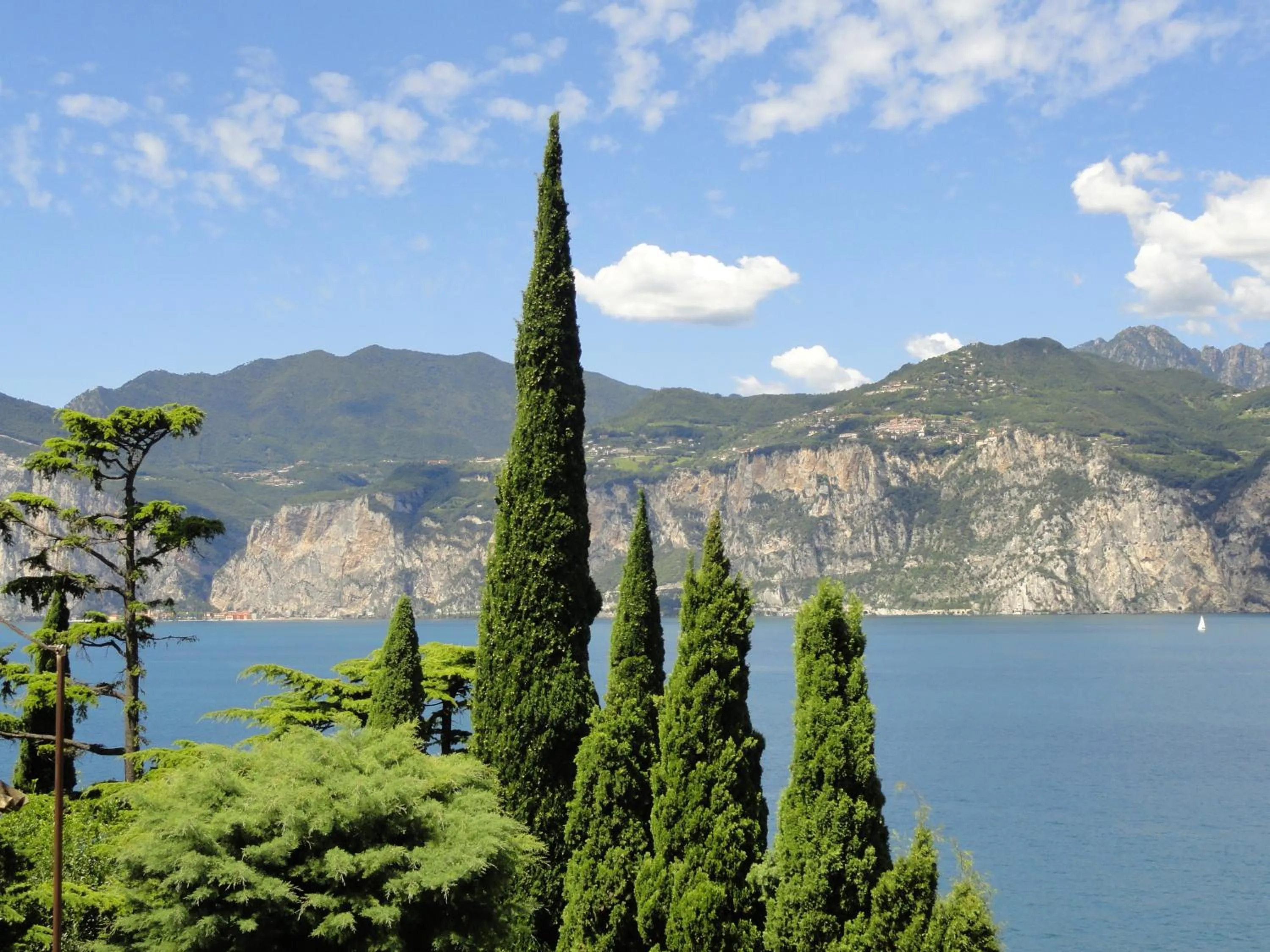 Area and facilities in Hotel Erika