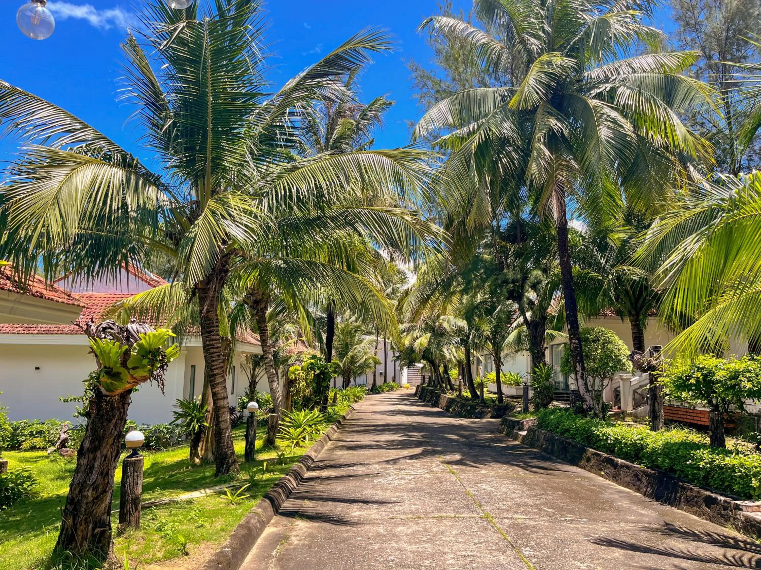 Natural landscape in Hawaii Resort Phu Quoc