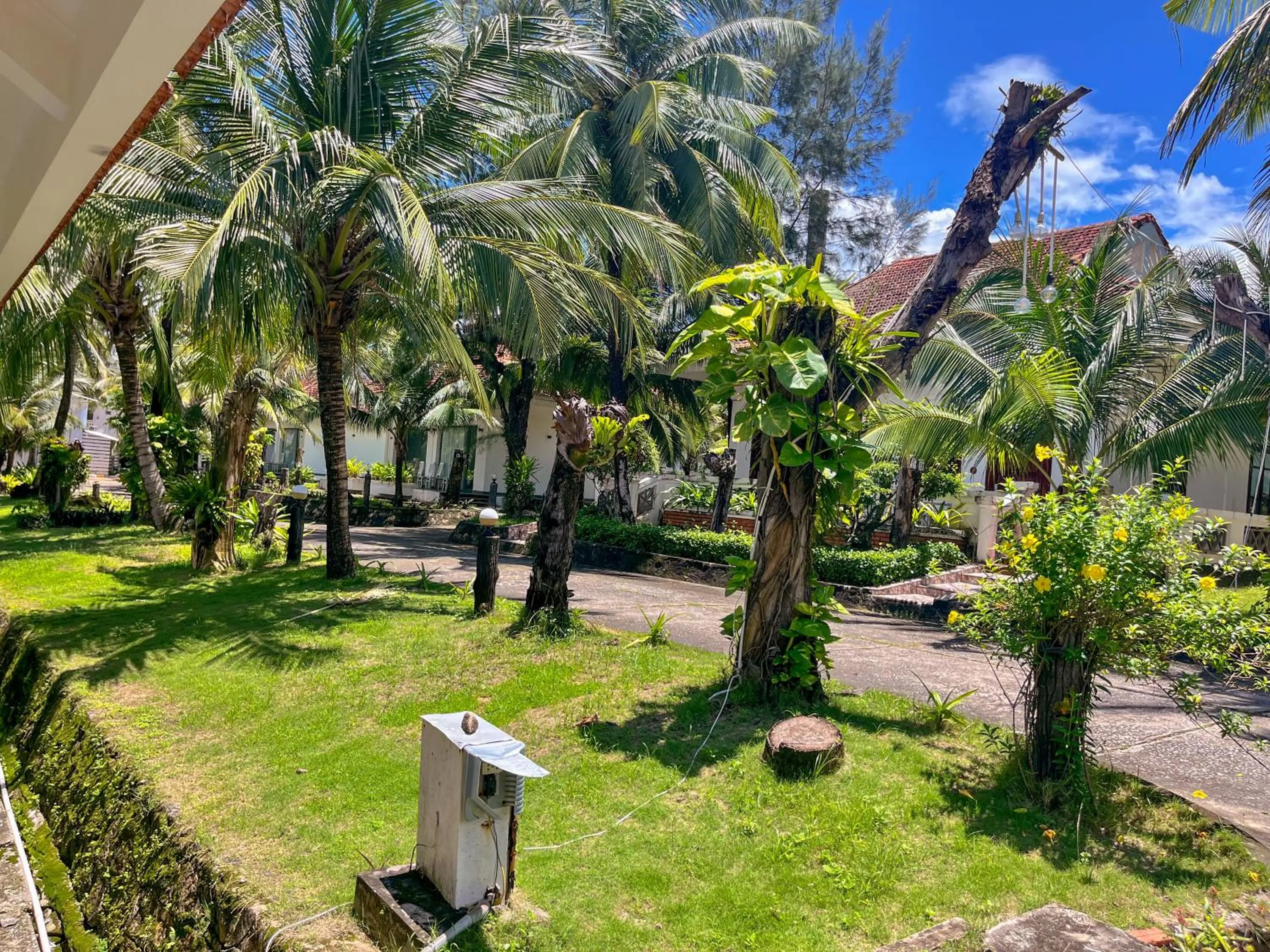 Natural landscape in Hawaii Resort Phu Quoc