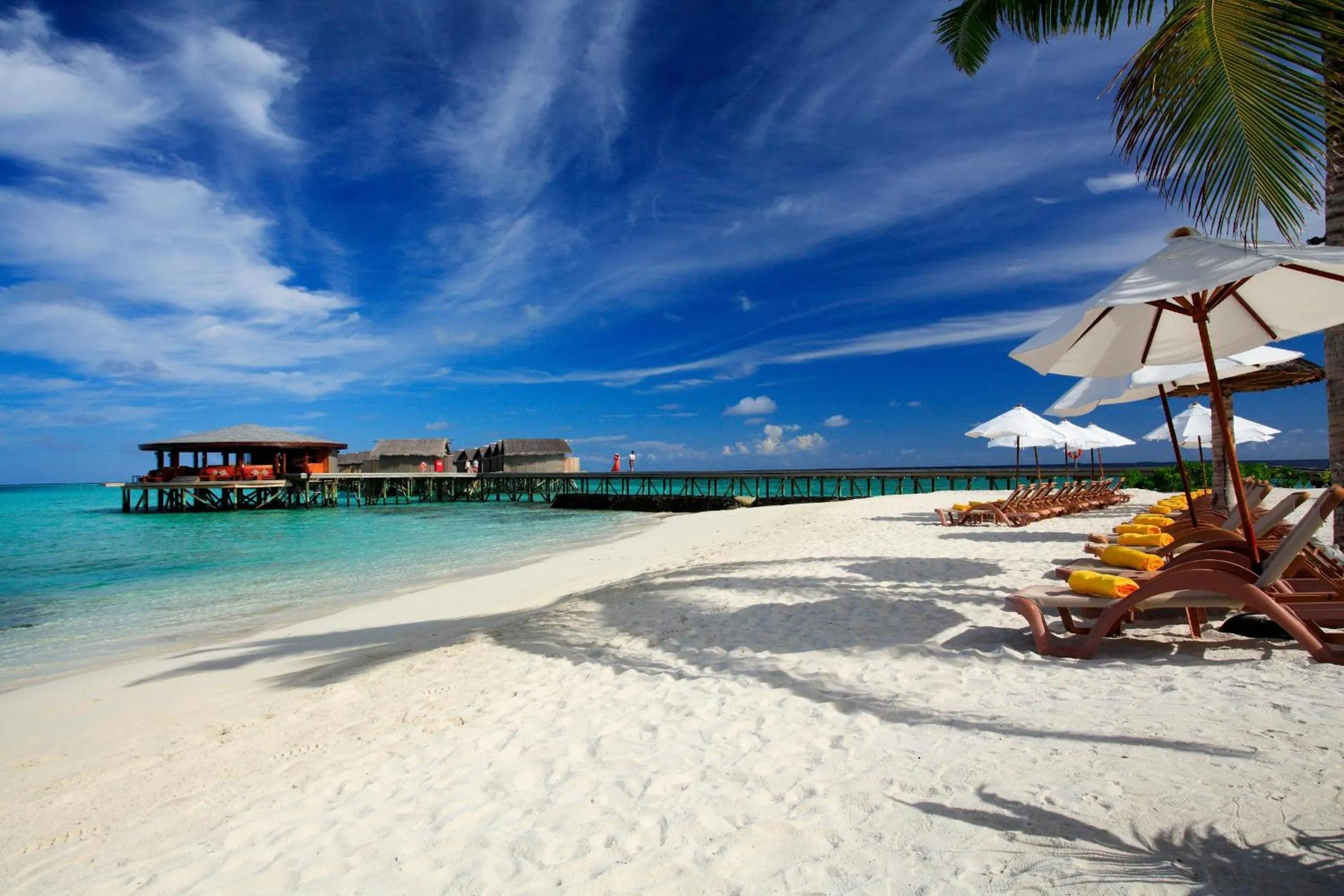 Beach in Centara Ras Fushi Resort & Spa Maldives - 50 percent discount on transfers for min 4 nights stay and more, valid for reservations between 11th Feb till 22 Dec 2025