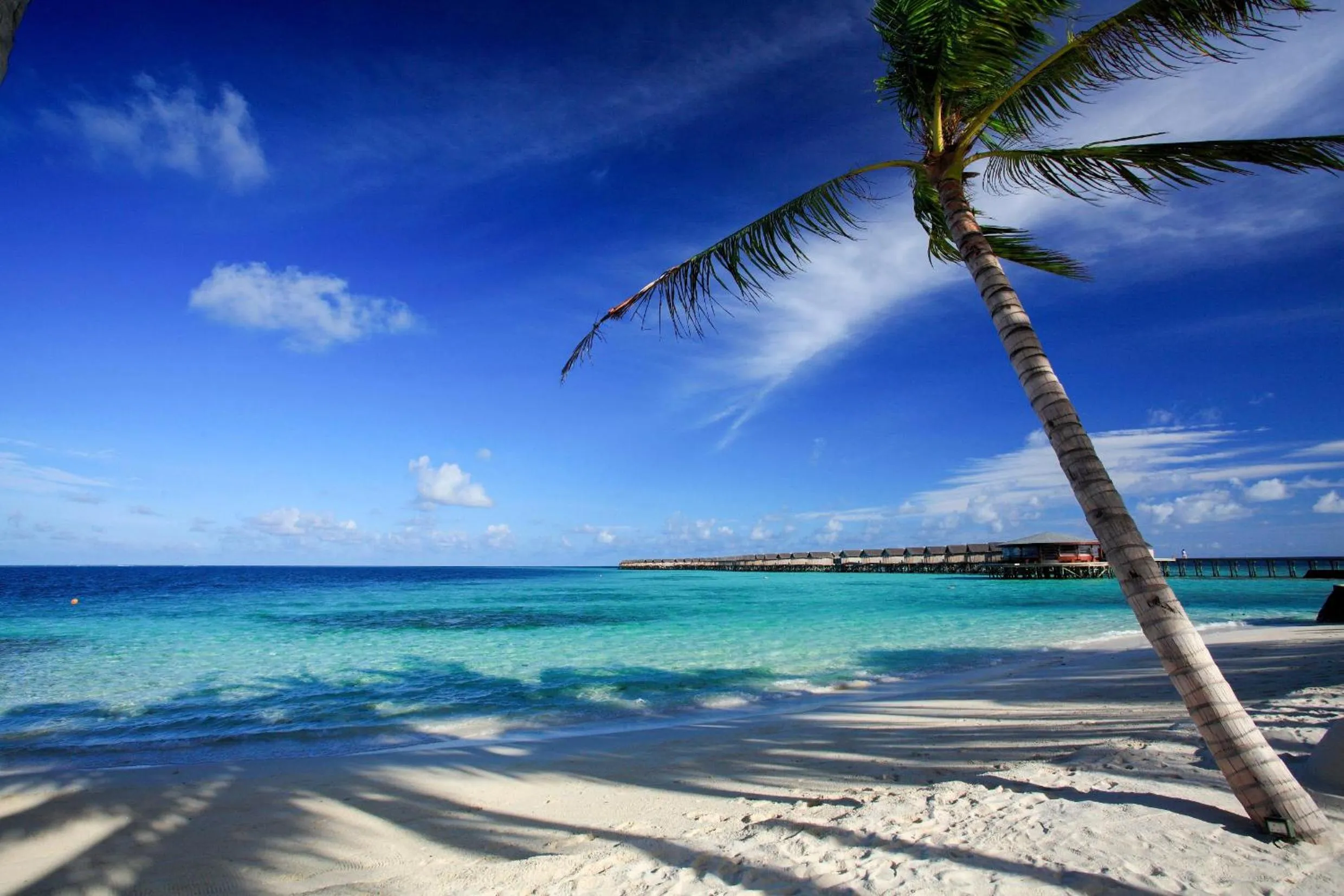 Photo of the whole room in Centara Ras Fushi Resort & Spa Maldives - 50 percent discount on transfers for min 4 nights stay and more, valid for reservations between 11th Feb till 22 Dec 2025