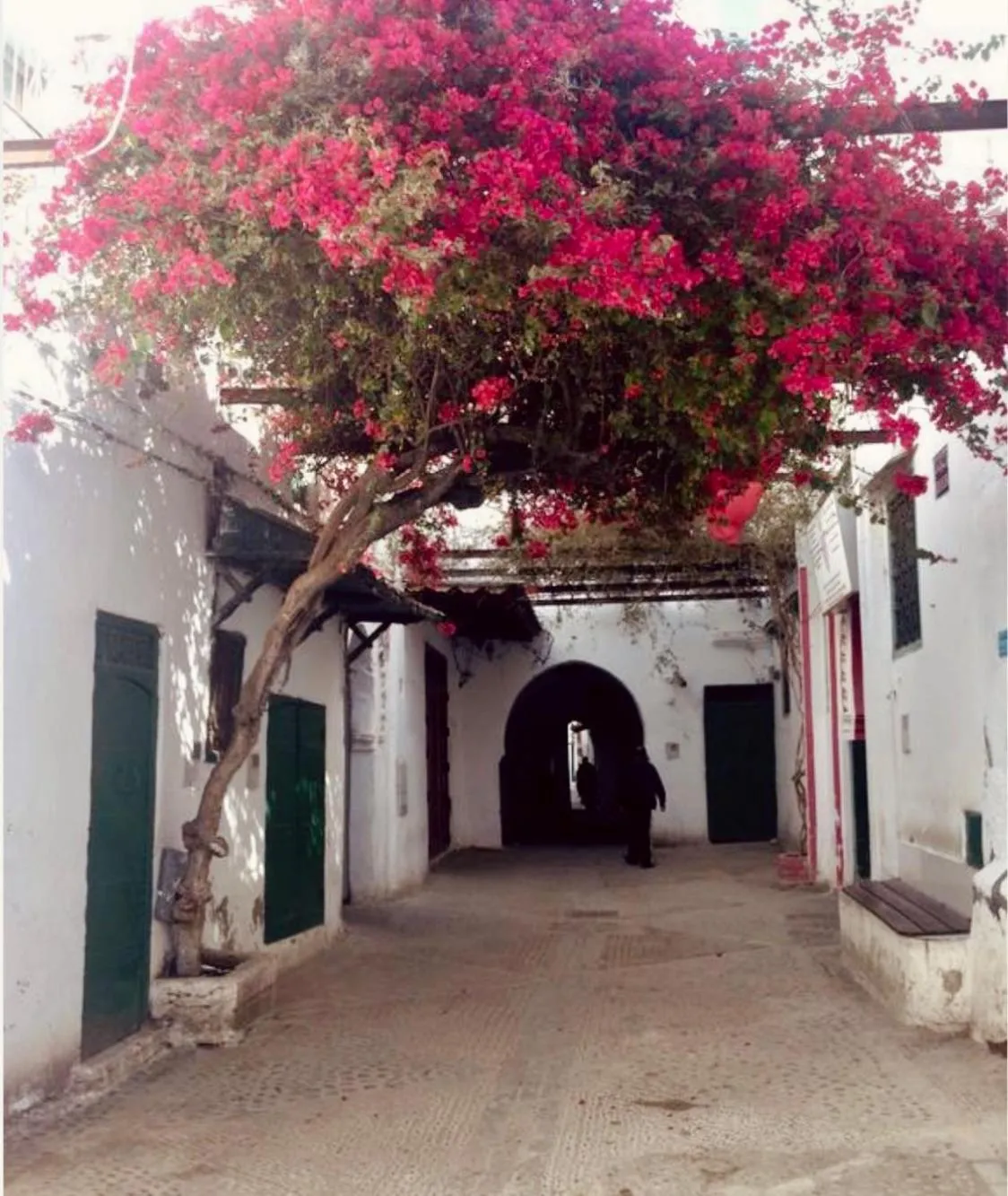 Neighbourhood in Hotel Dar Dahlia Tetouan