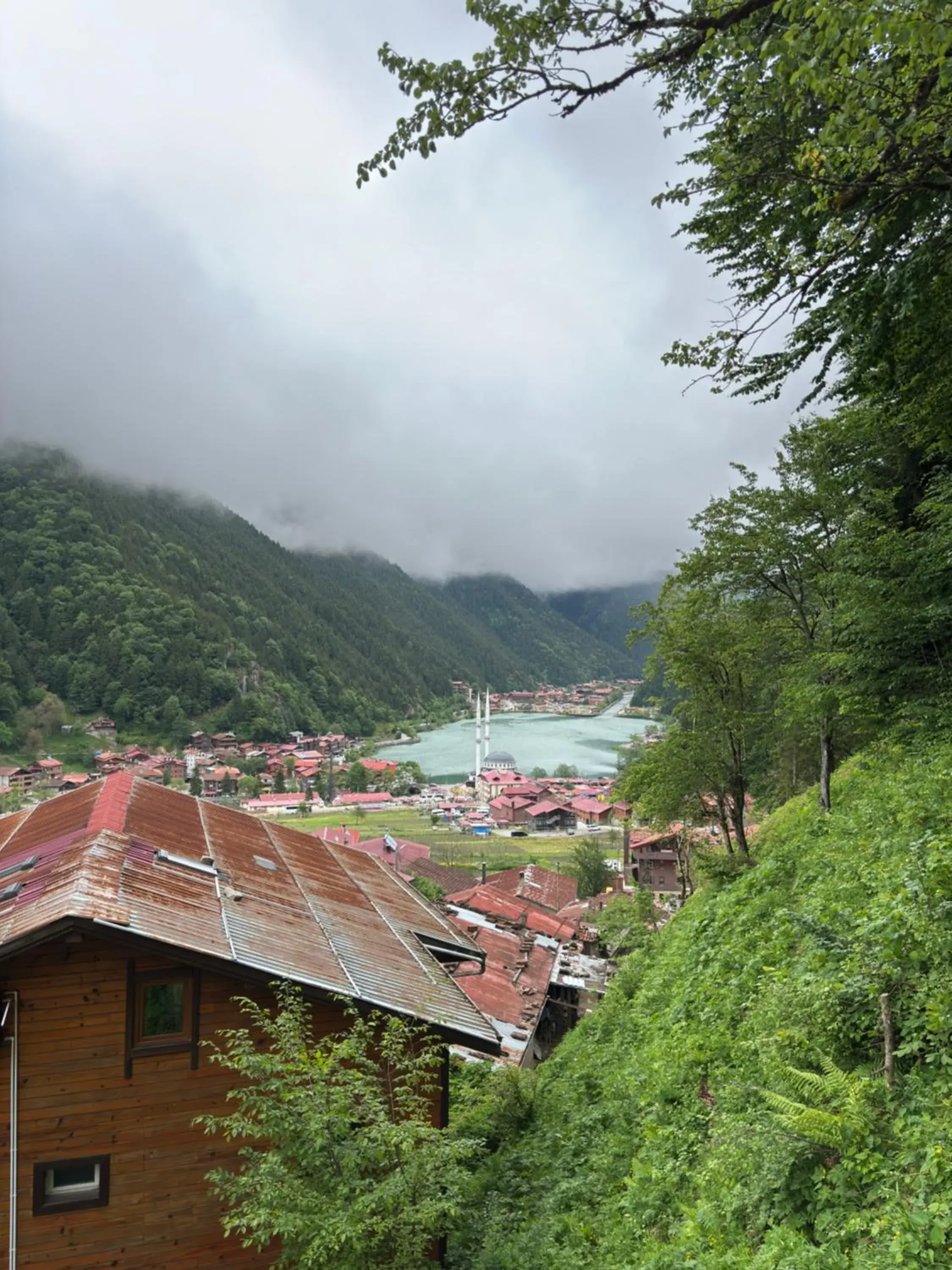 Şahin Home Şahin Home