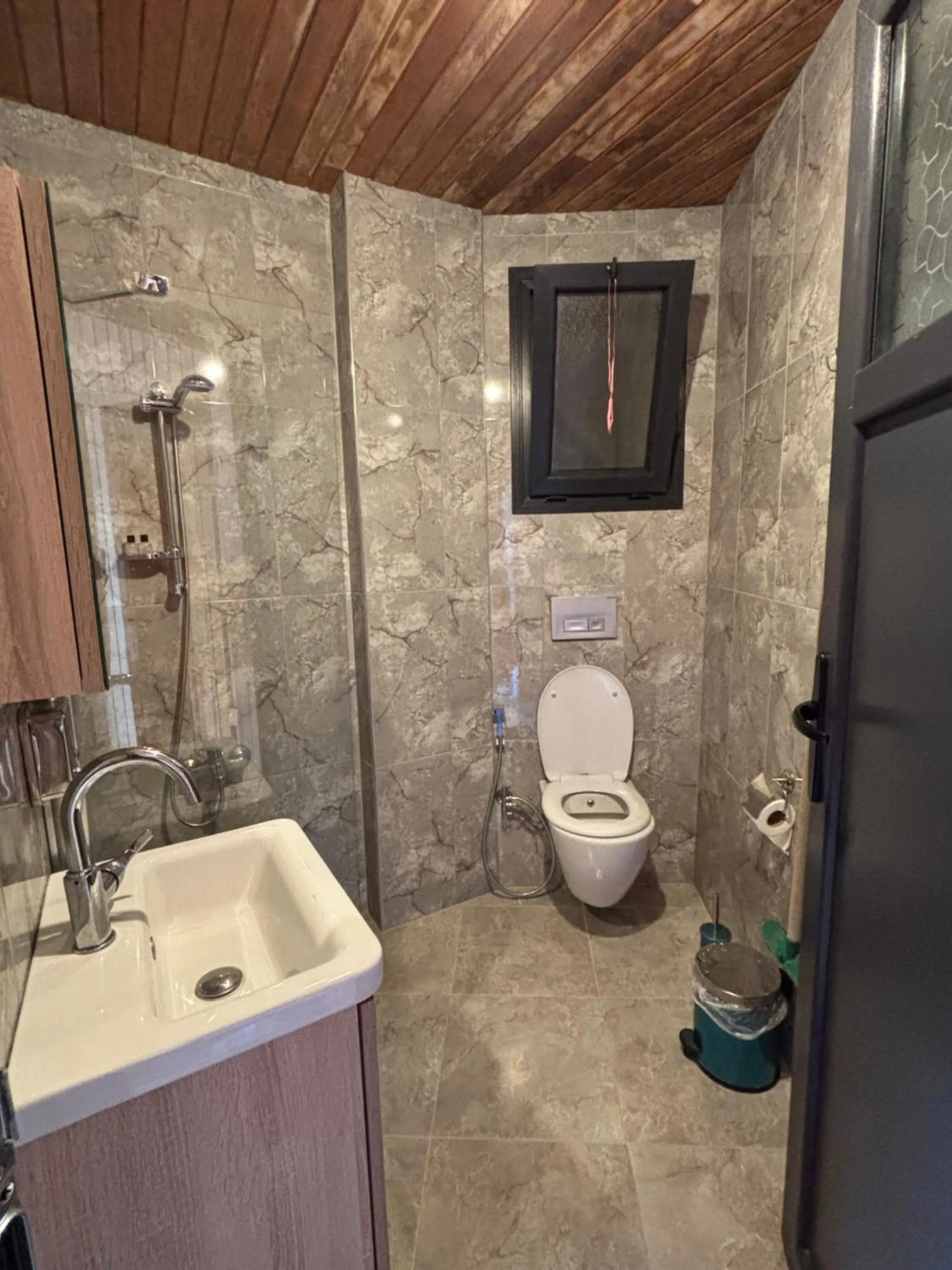 Toilet in Şahin Home