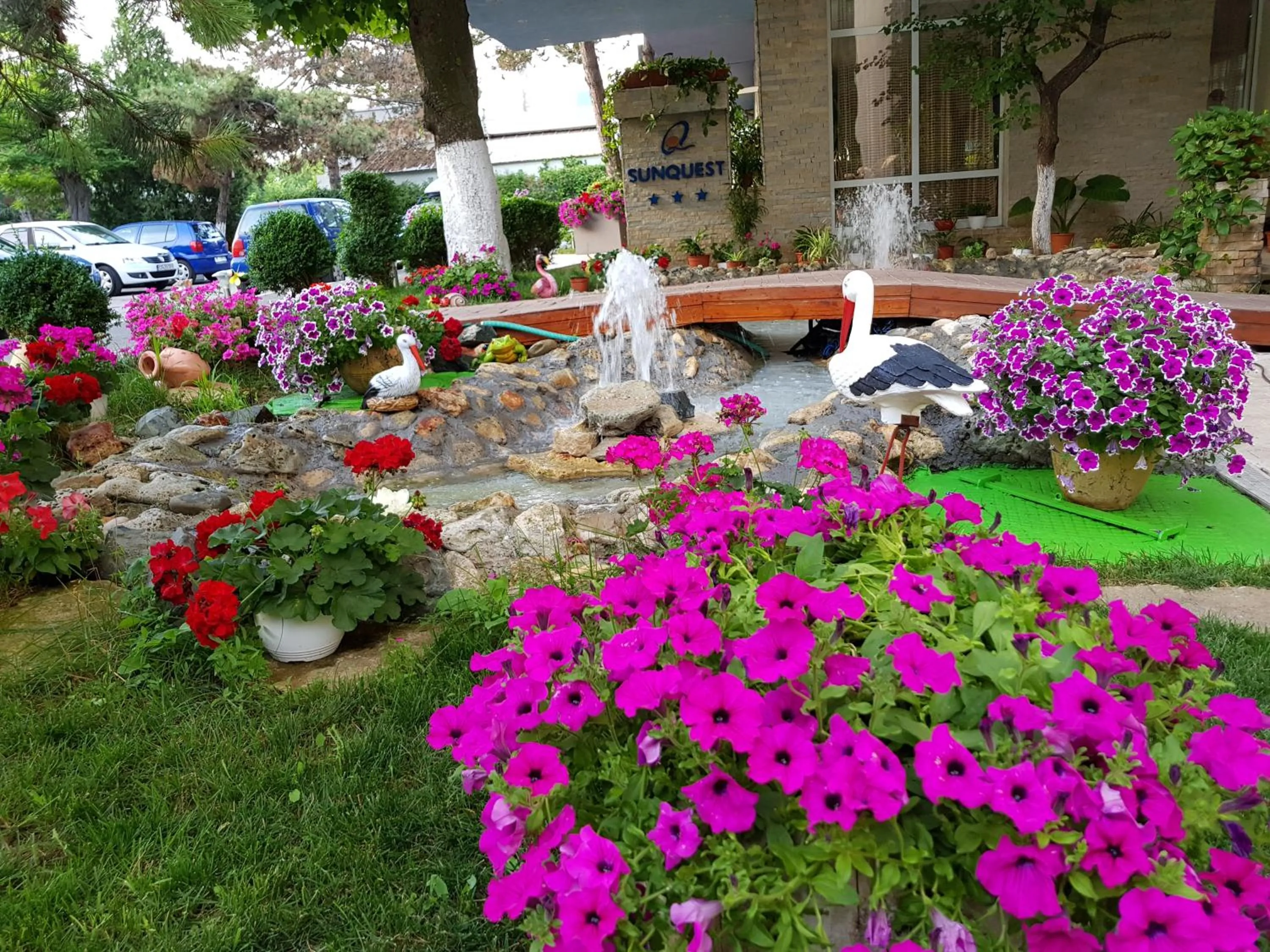 Garden in Hotel Sunquest