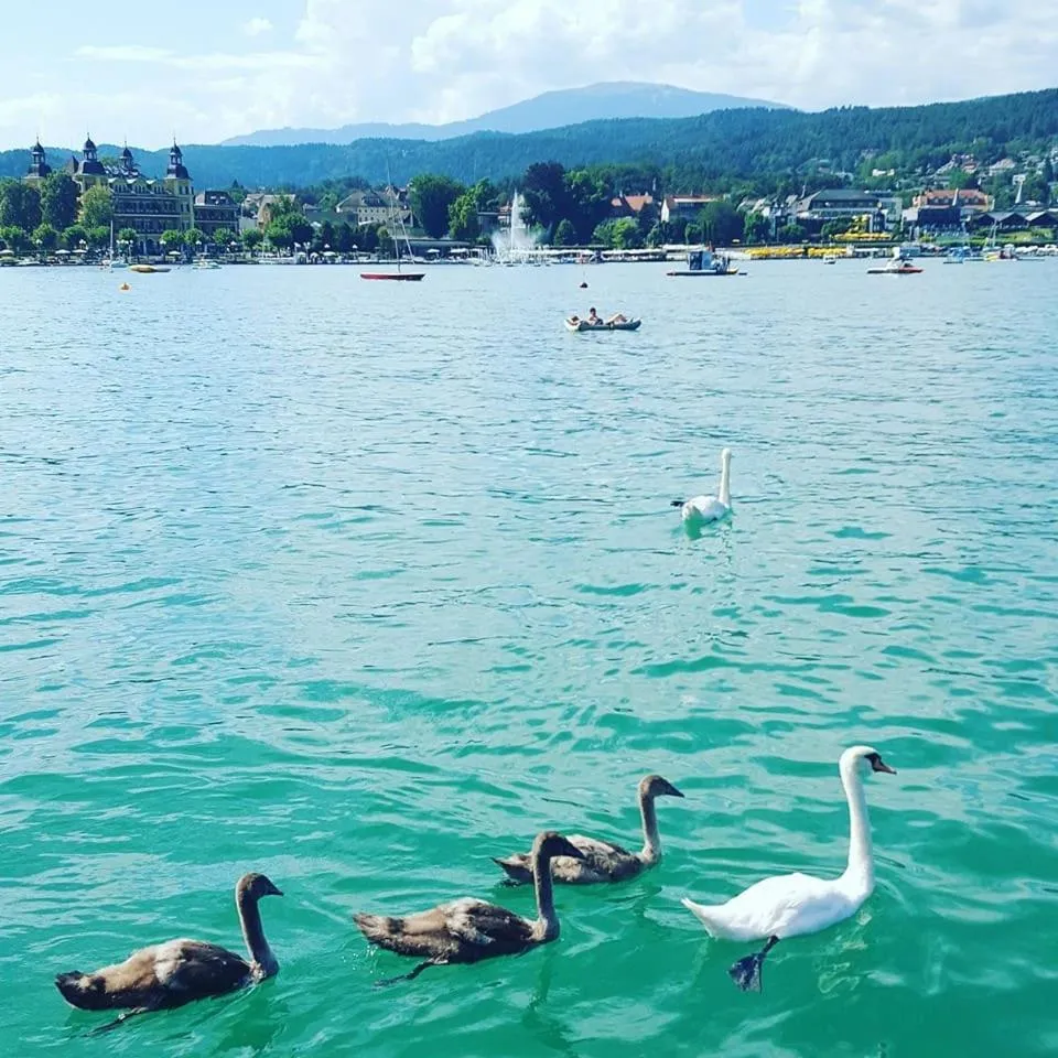 Superior-Apartment mit Pool und Seezugang
