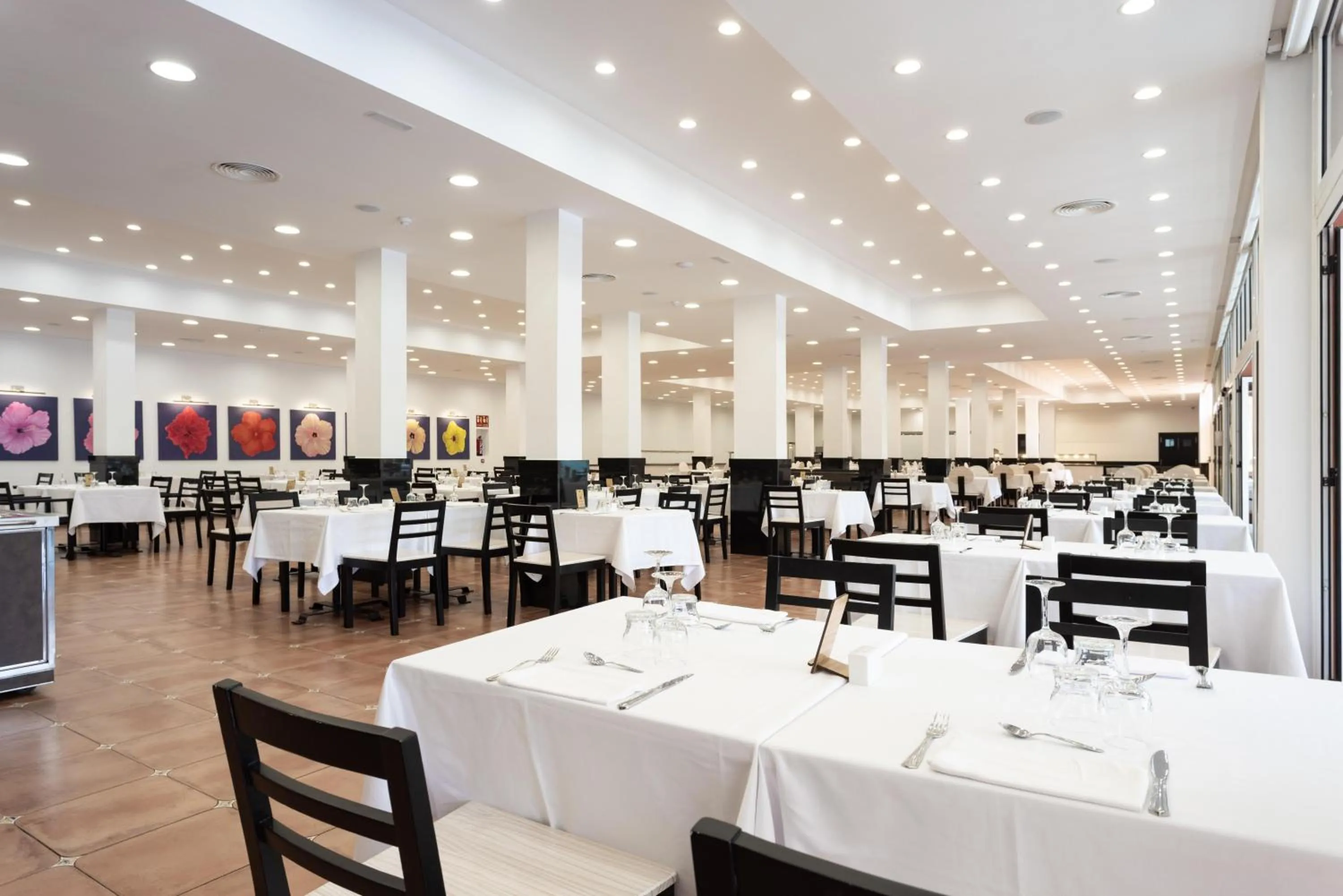 Restaurant/places to eat in Hotel El Duque