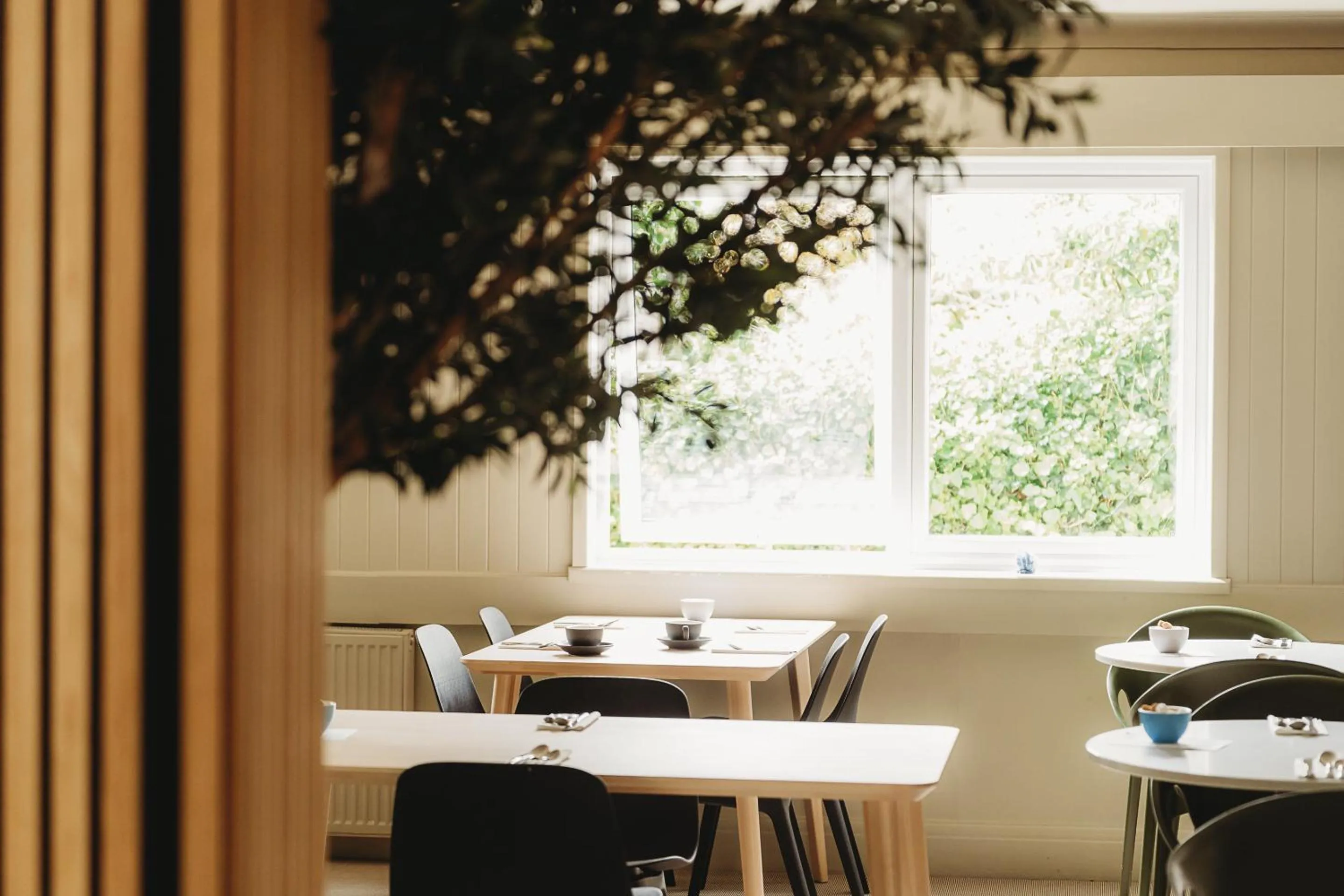 Food and drinks in Hotel VARA