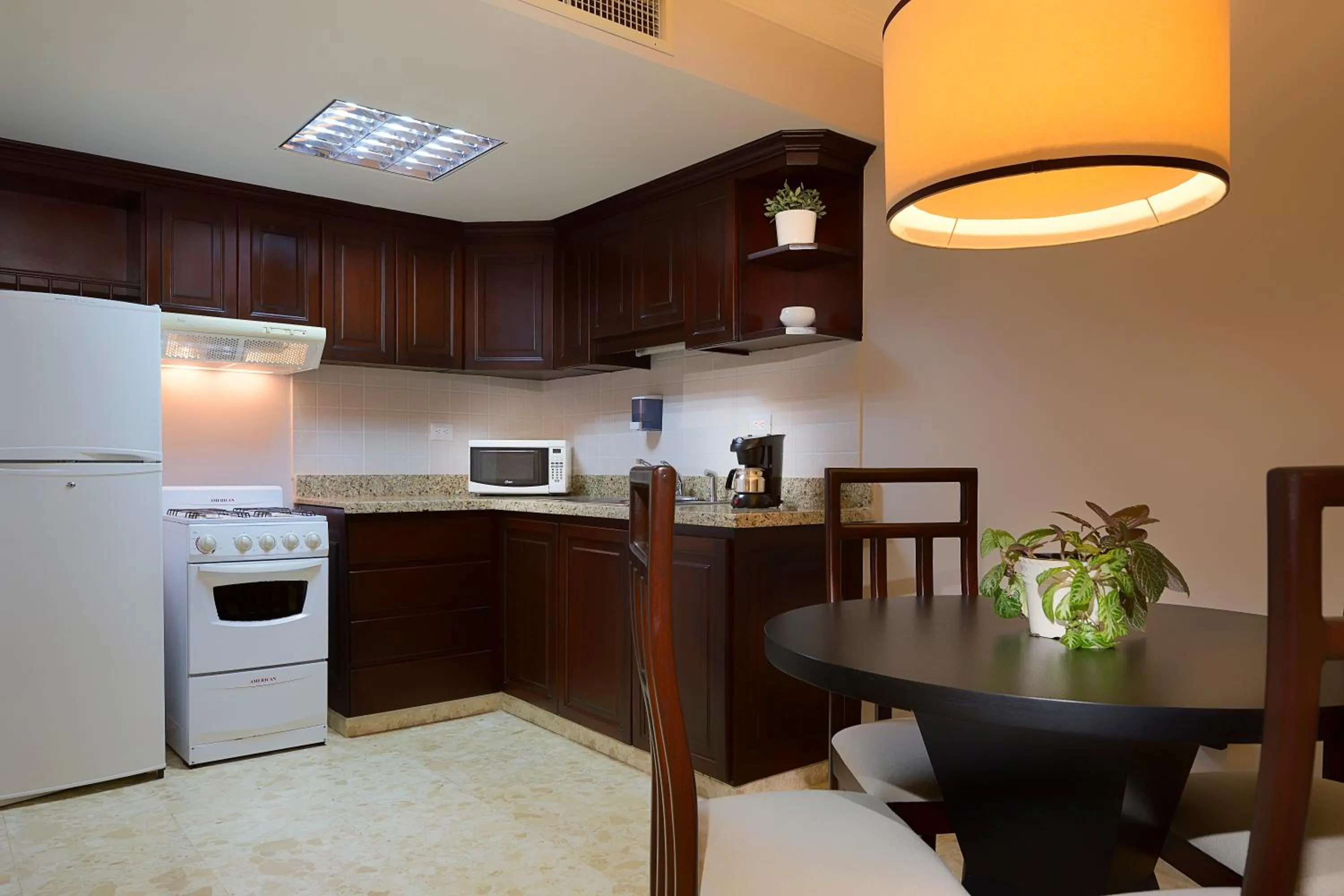 Kitchen or kitchenette in Plaza Florida Suites