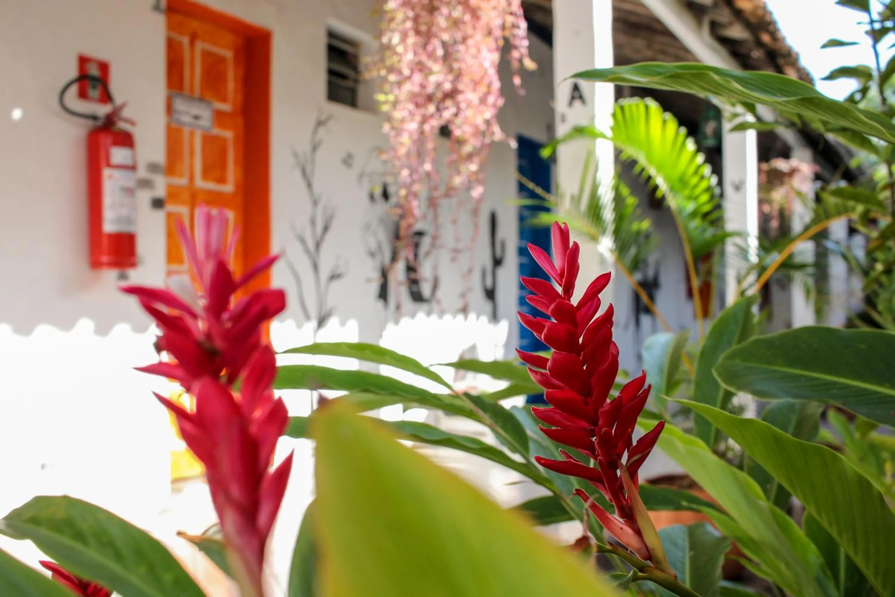 Garden in Vila Aju - Pousada Temática