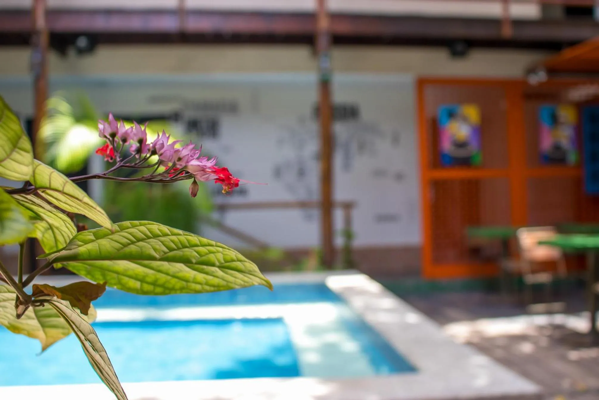 Hot Tub in Vila Aju - Pousada Temática