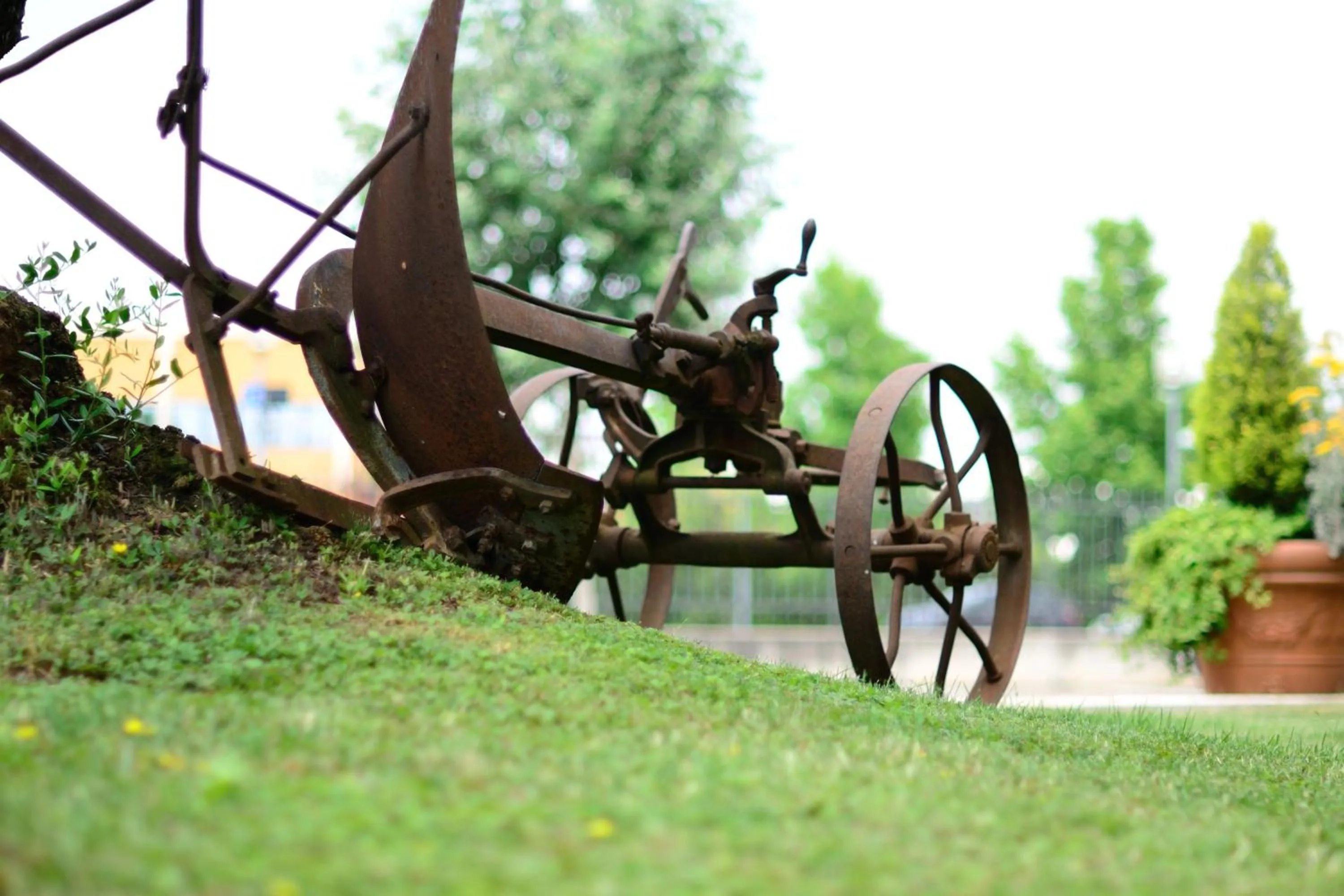 Garden in Hotel Da Franco