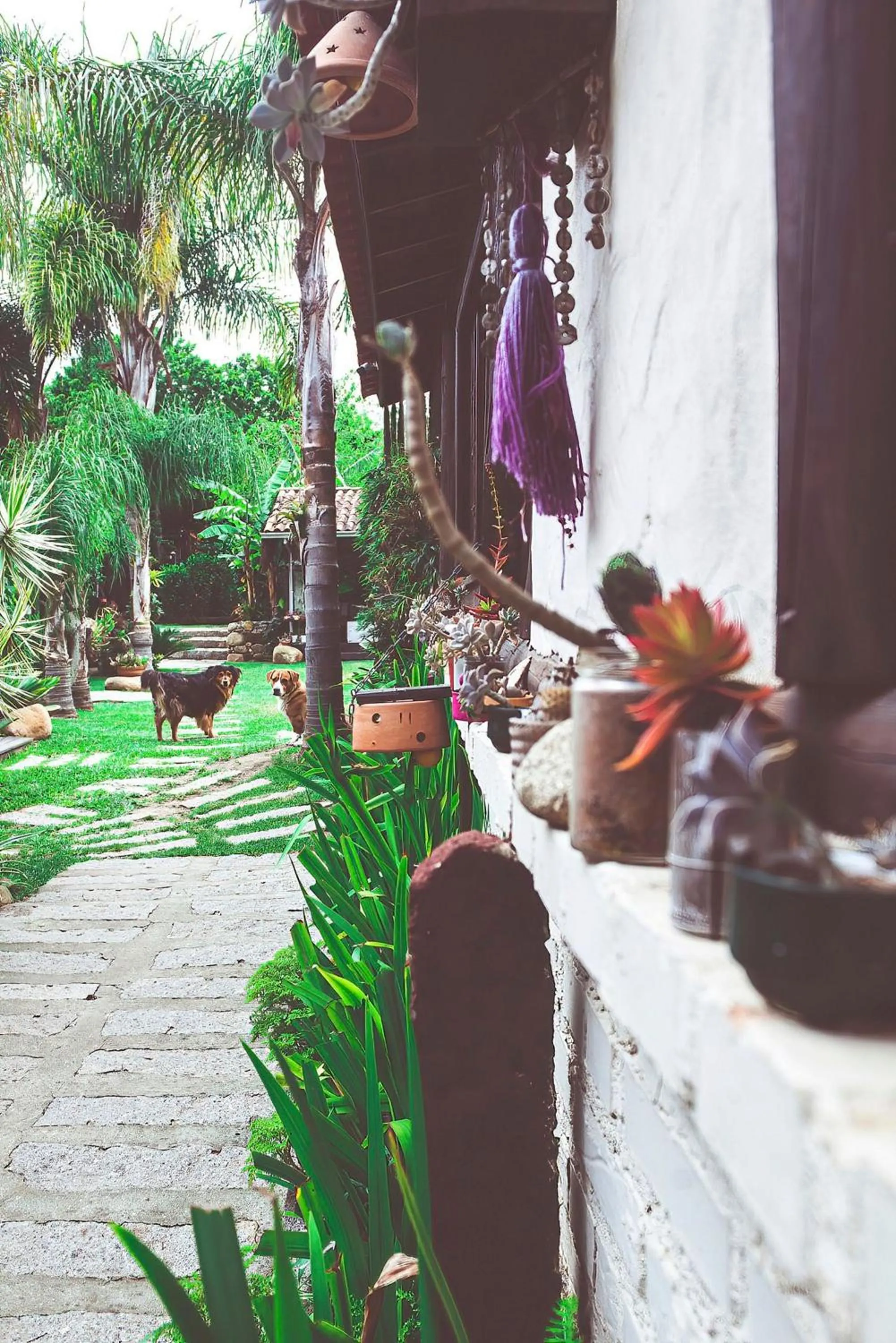 Decorative detail in Pousada Rosa da Praia - Praia do Rosa - SC