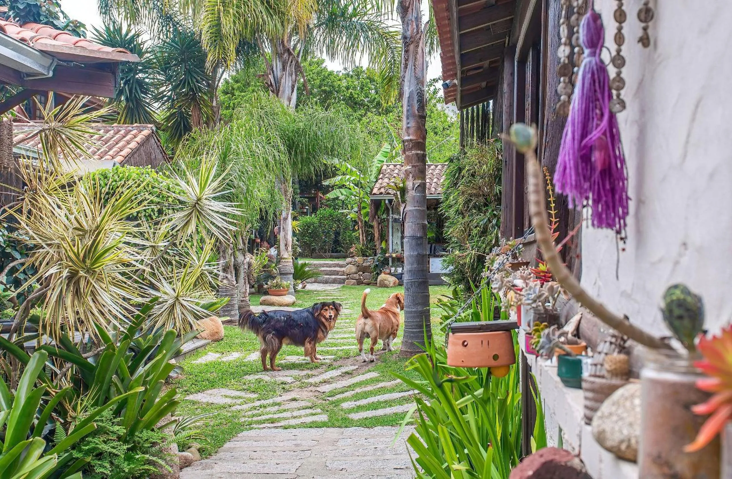 Garden in Pousada Rosa da Praia - Praia do Rosa - SC