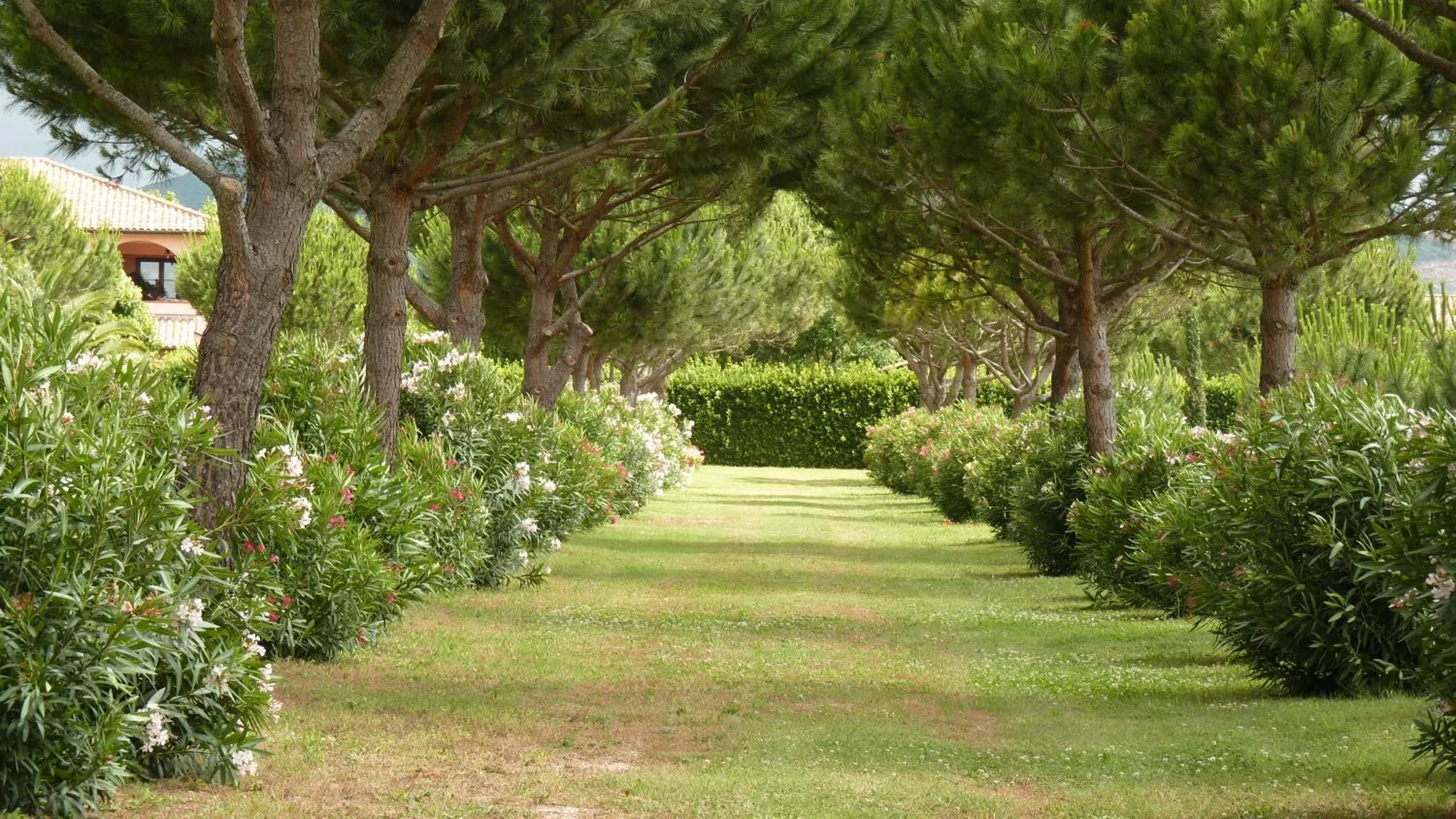 Garden view in Agriturismo Villa Toscana