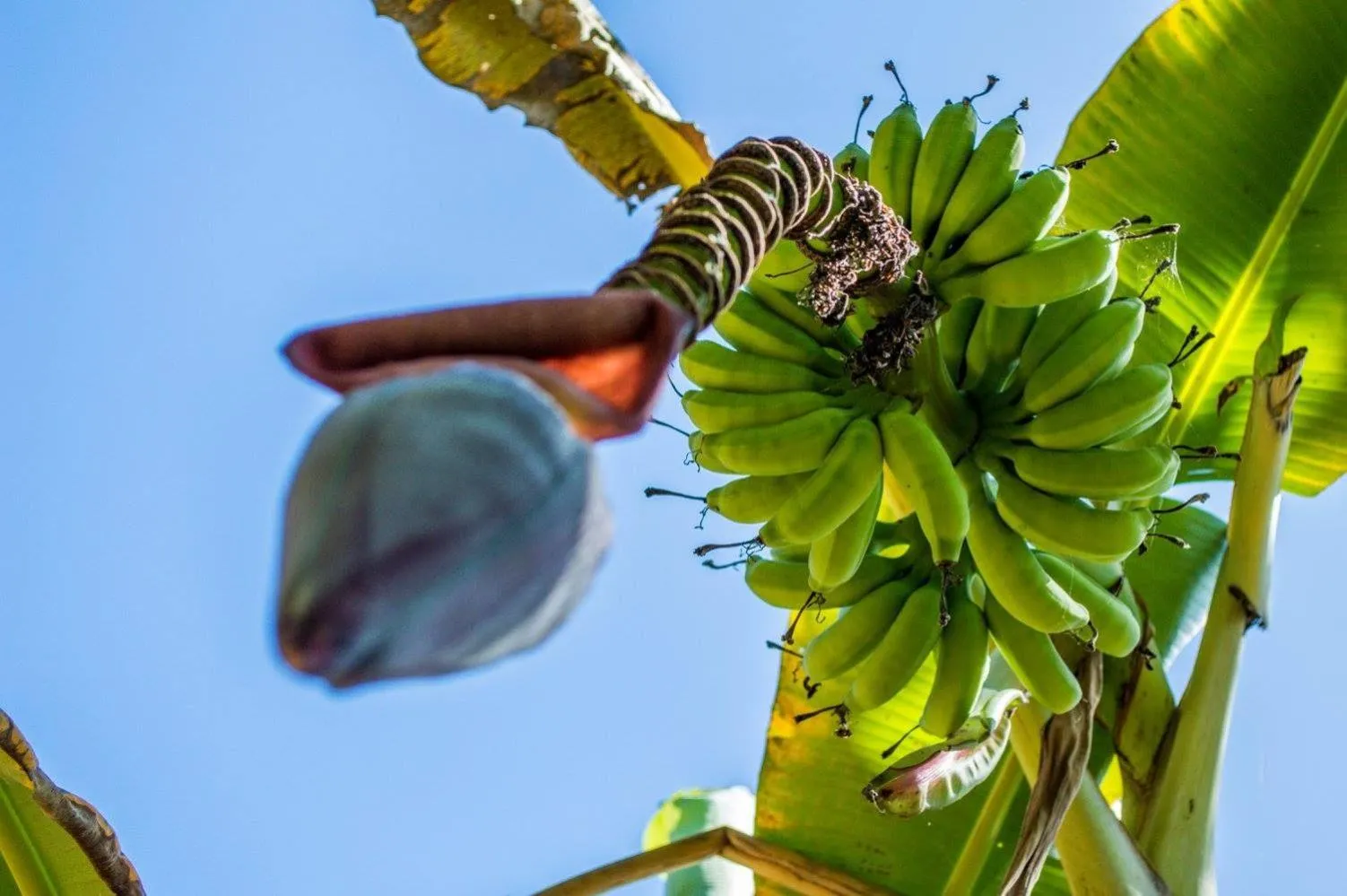 The Resort at Marble Hill
