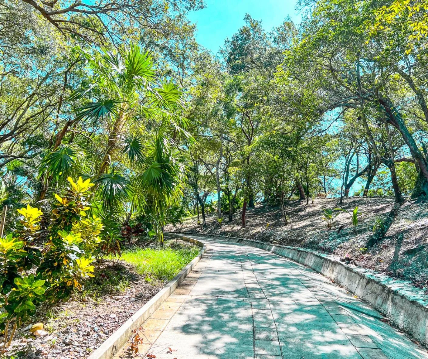 Natural landscape in The Resort at Marble Hill