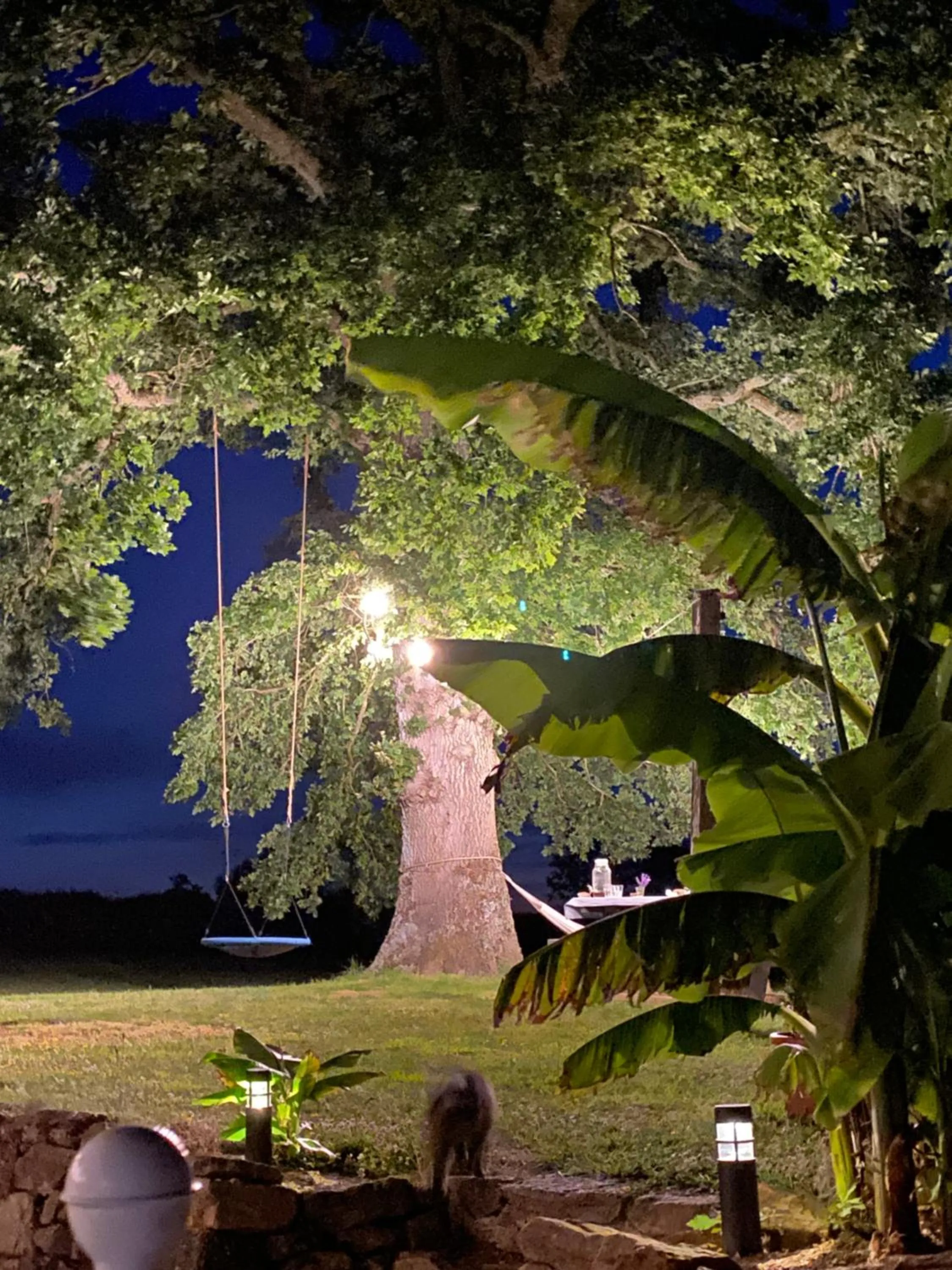 Garden in Gites Le Grand Tornage holiday fun for the whole family