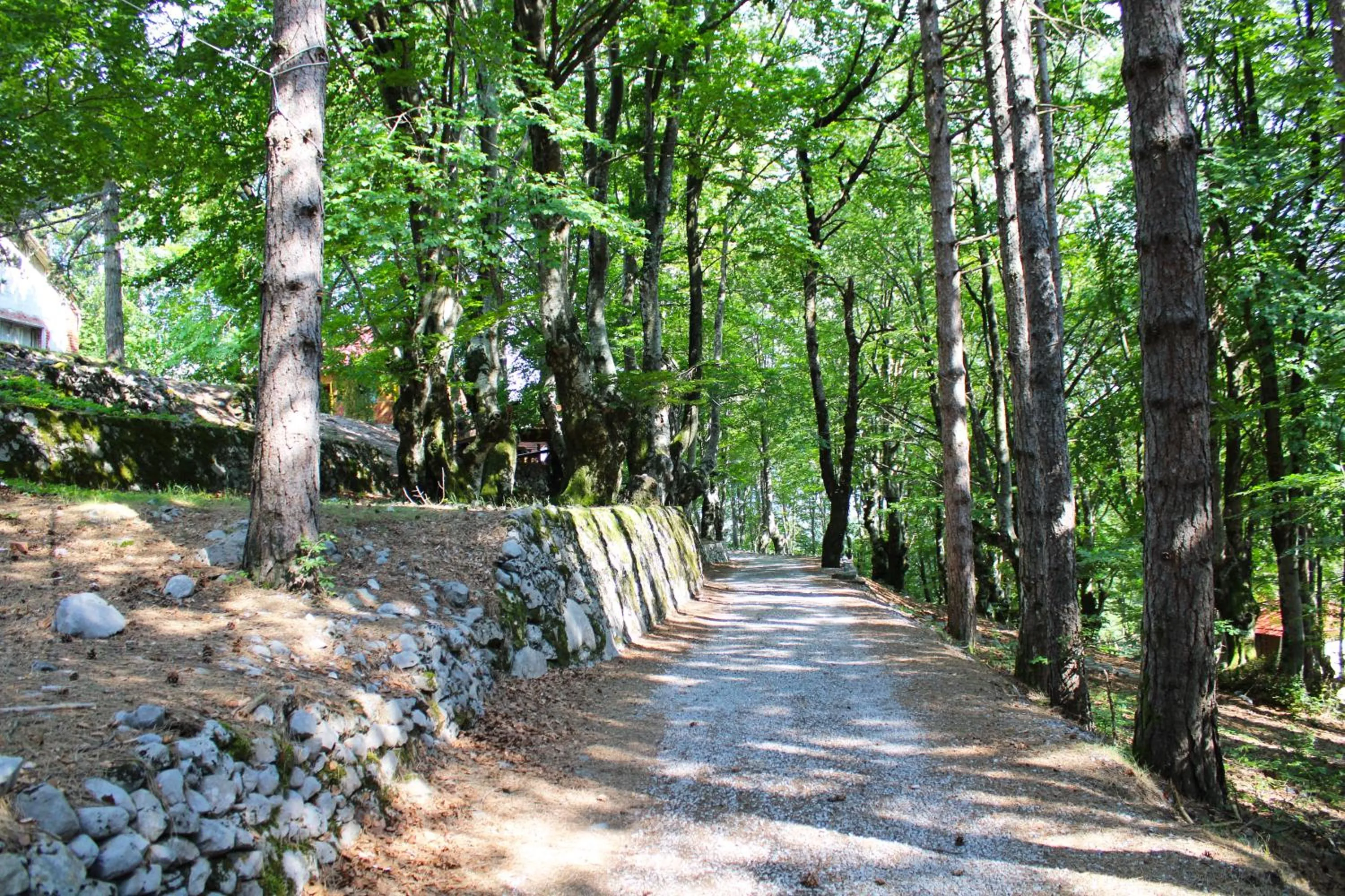 Natural landscape in Natyral Razma Resort