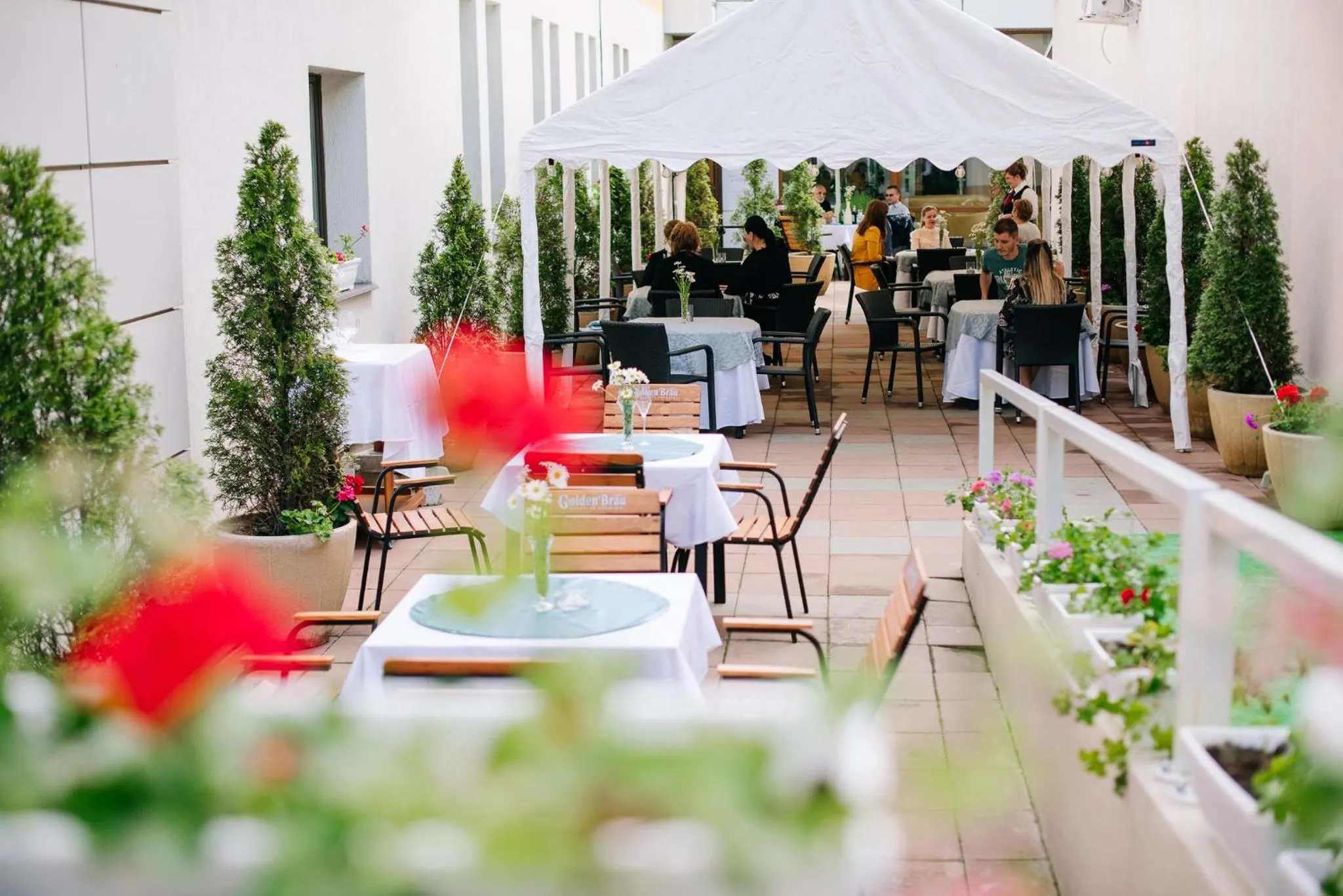 Balcony/Terrace in Caprioara Spa&Wellness Resort