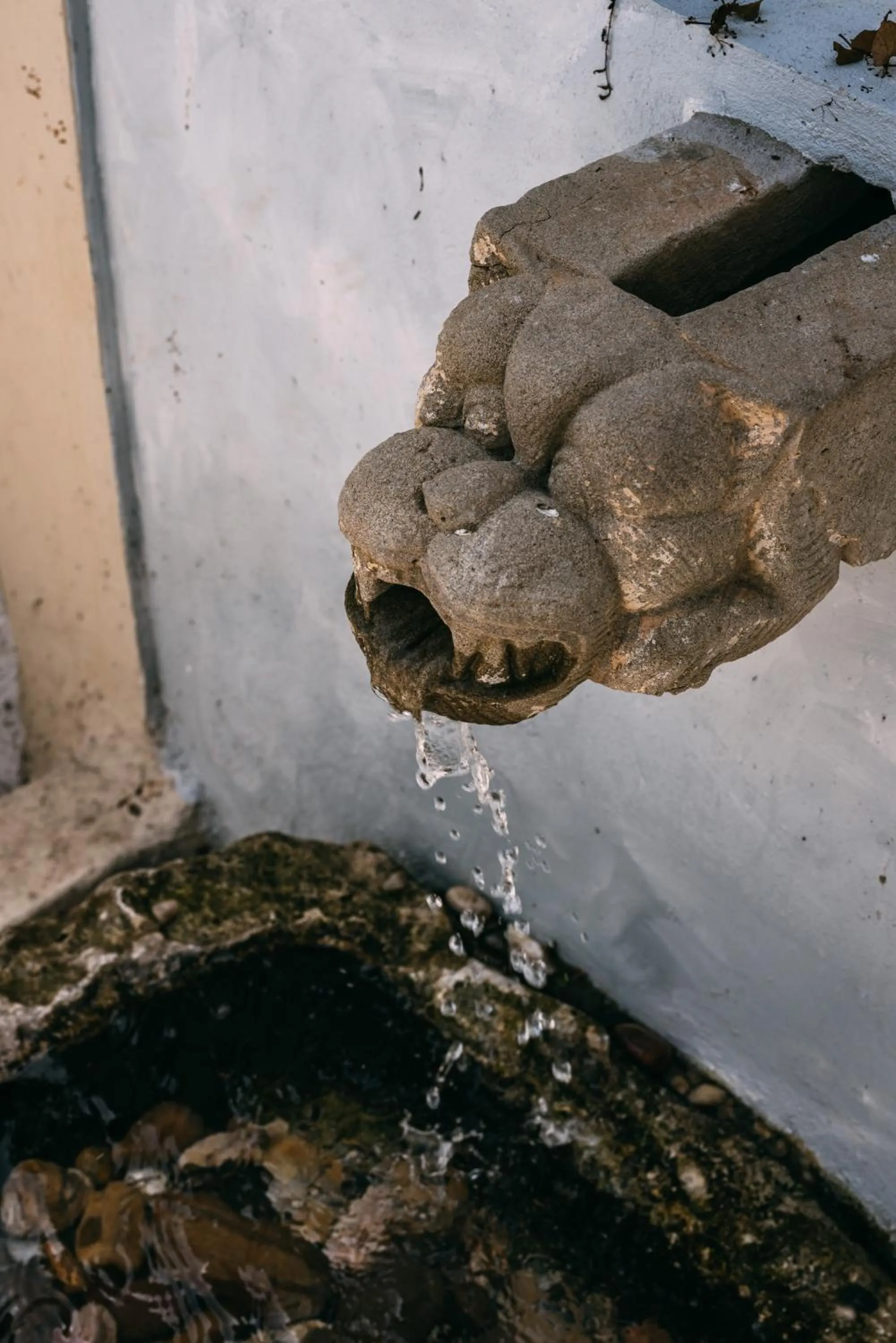 Patio in LEGASEA - Cascais Guesthouse
